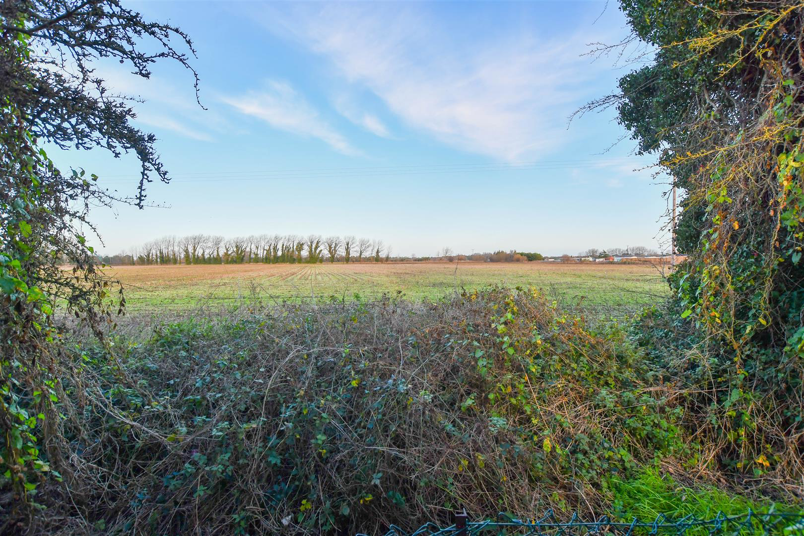 Kestrel Close, Beck Row, photo 12