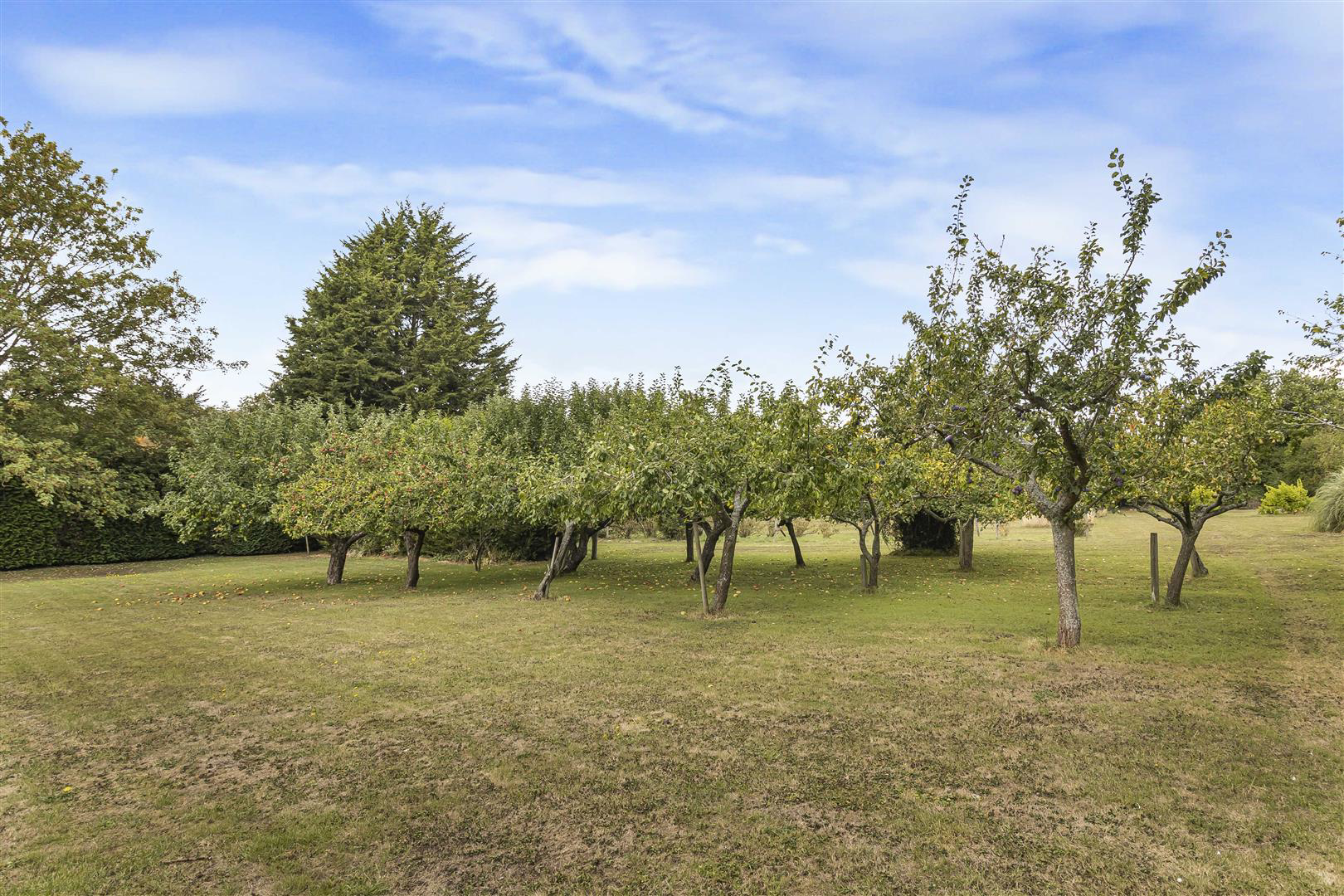 Steventon End, Ashdon, Saffron Walden, photo 21