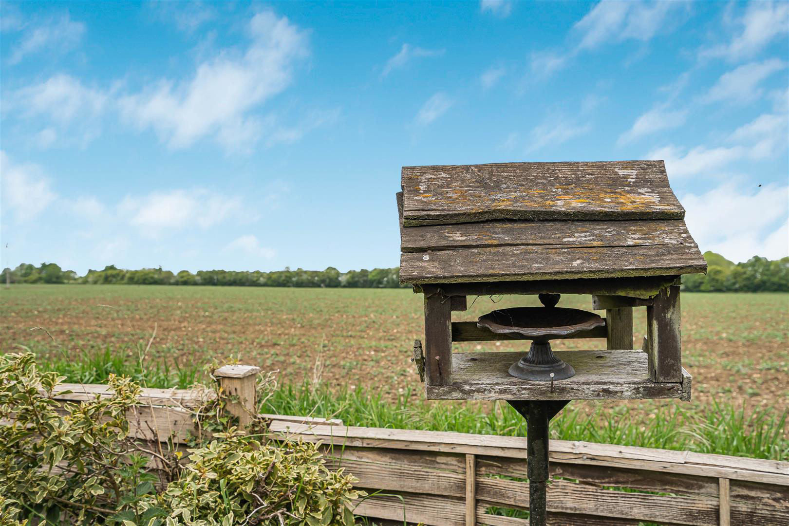 Hill Road, Hempstead, Saffron Walden, photo 9
