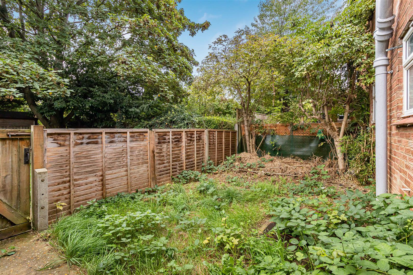 Windsor Road, Newmarket, photo 2