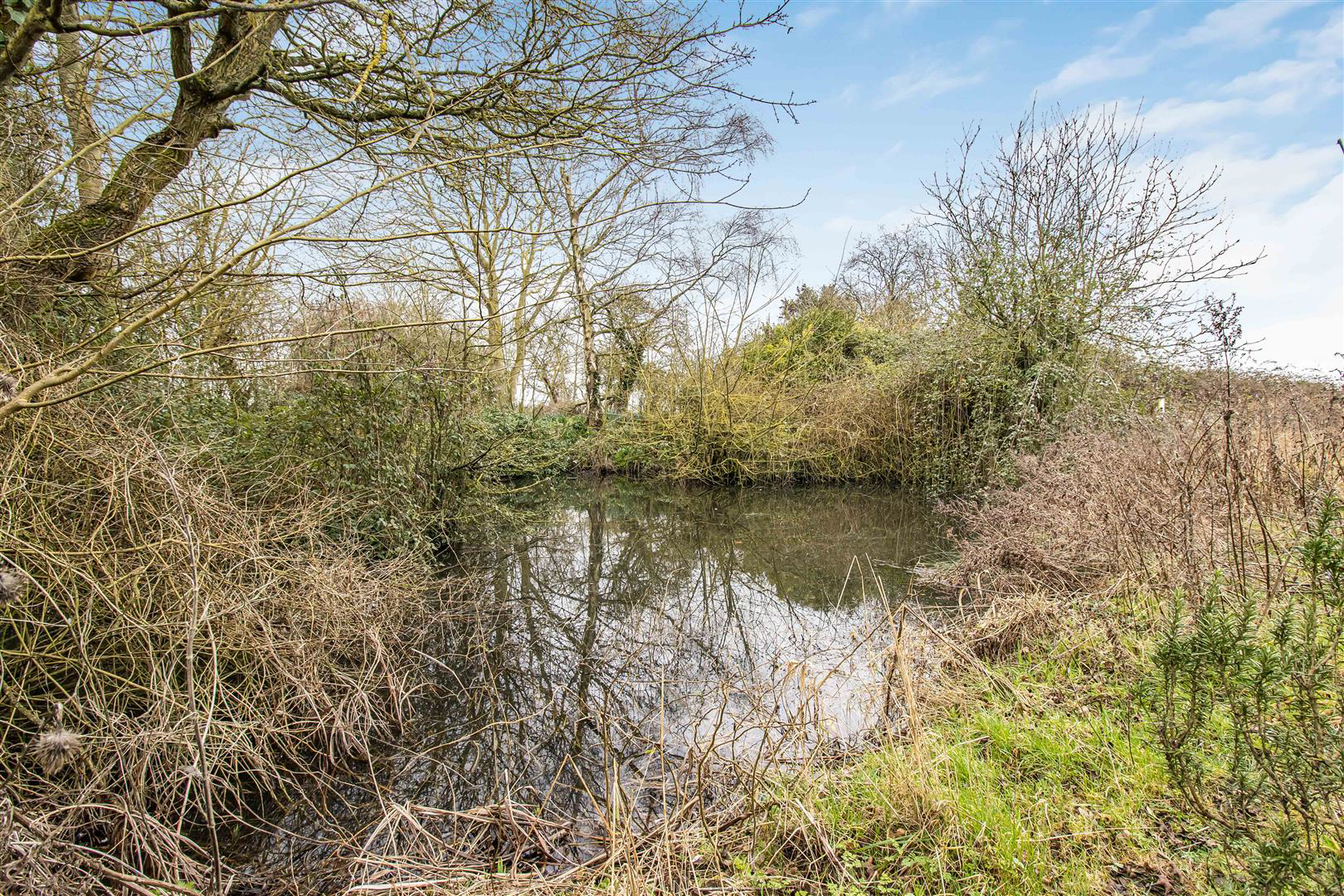 Dunstall Green, Ousden, Newmarket, photo 26