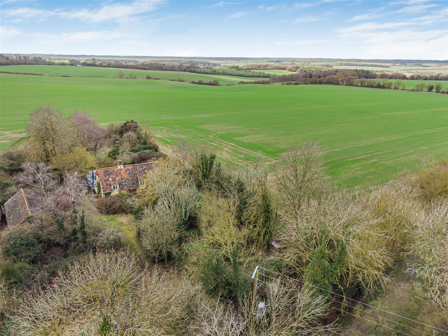 Dunstall Green, Ousden, Newmarket, photo 32
