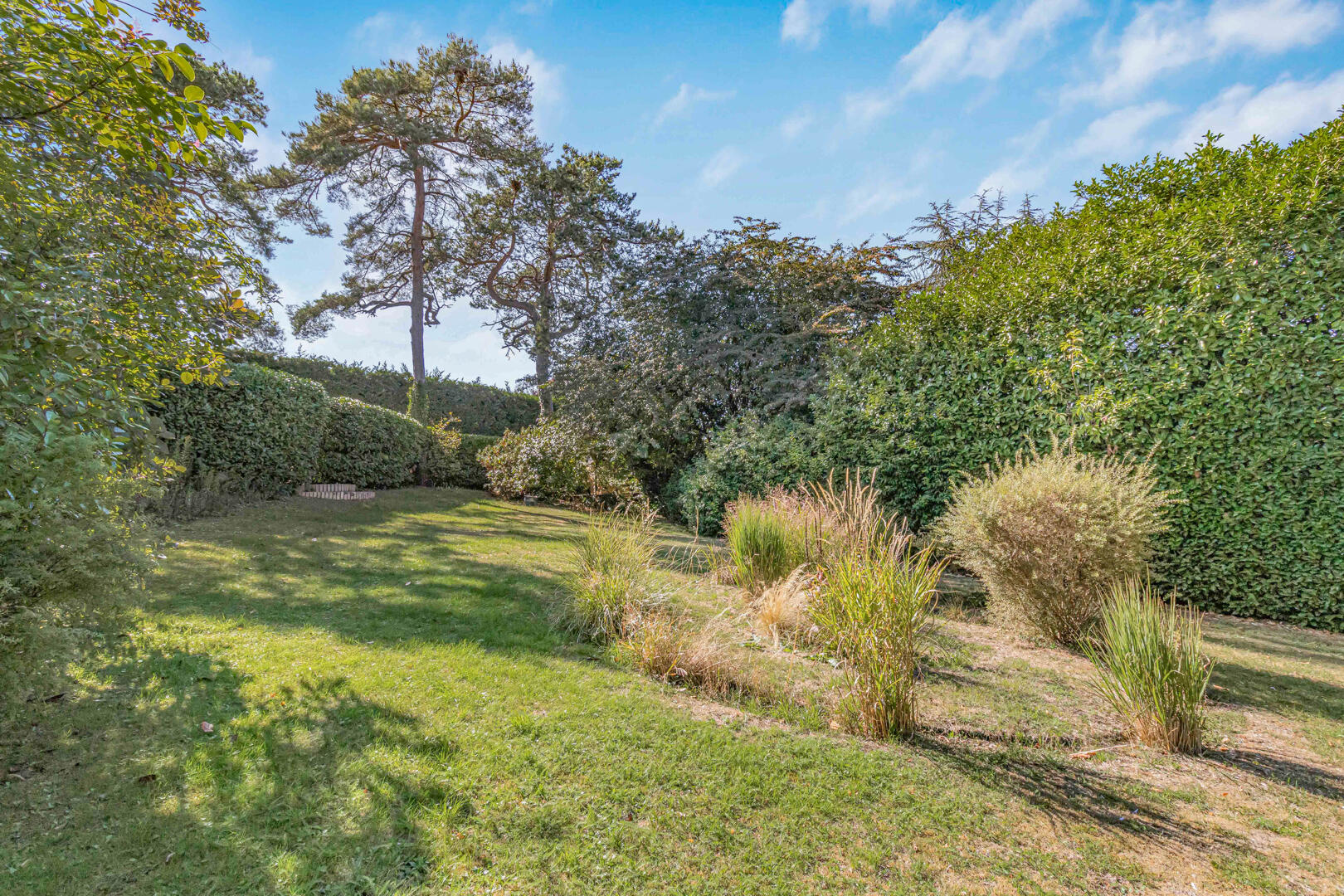 The Dip, Newmarket, photo 31