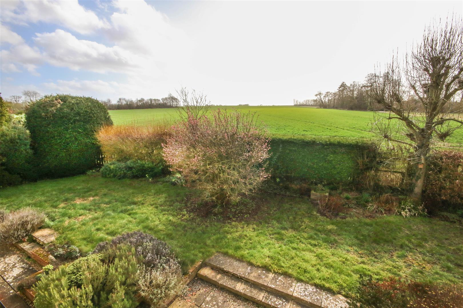 The Street, Lidgate, Newmarket, photo 16