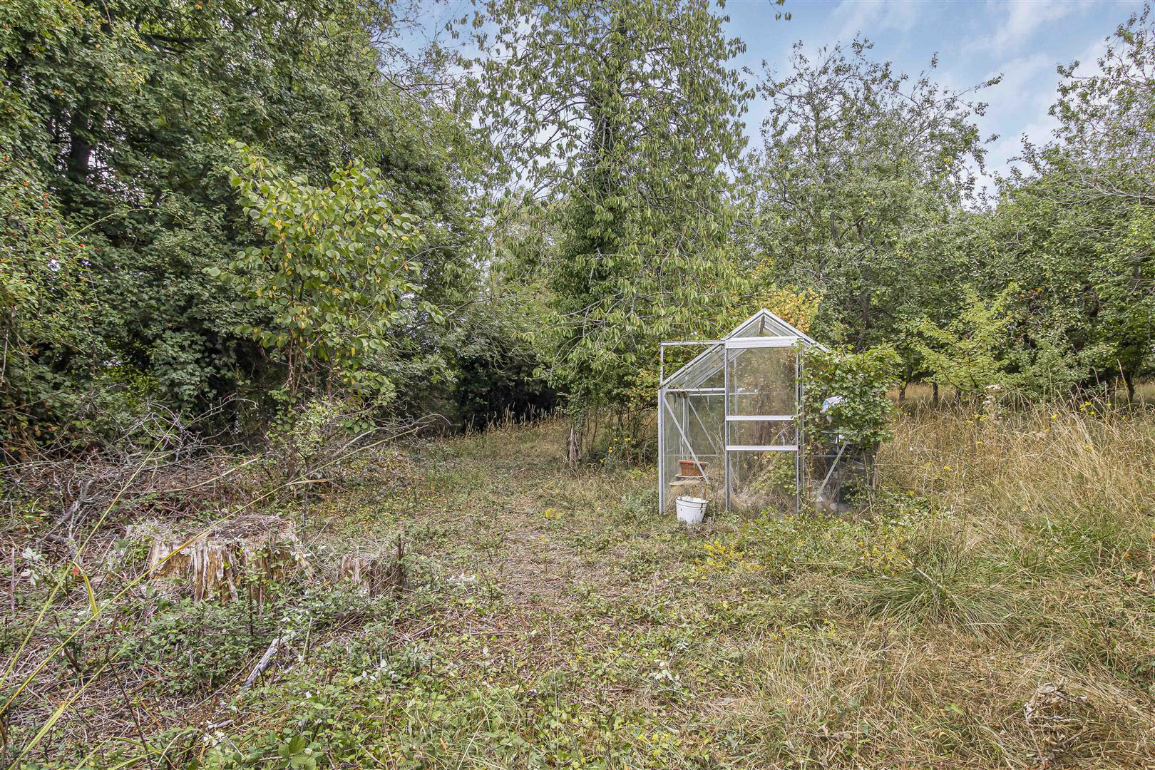 Steeplechase, Hundon, Sudbury, photo 16