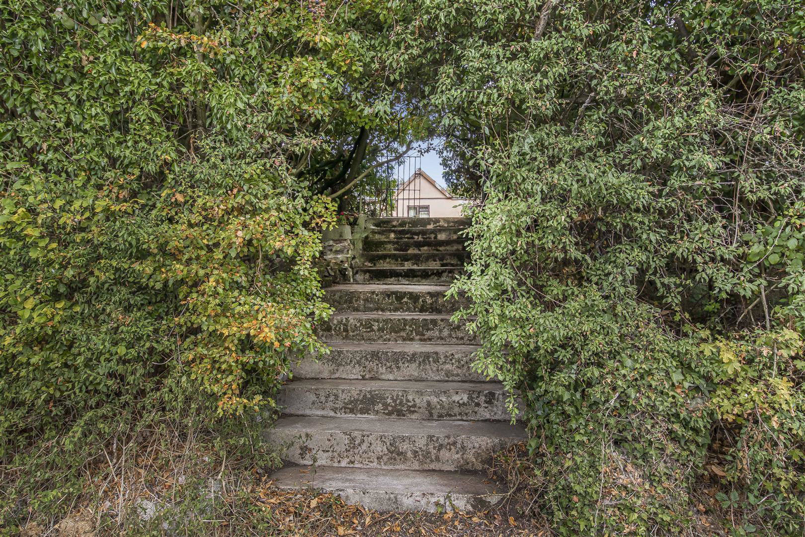 Steeplechase, Hundon, Sudbury, photo 12
