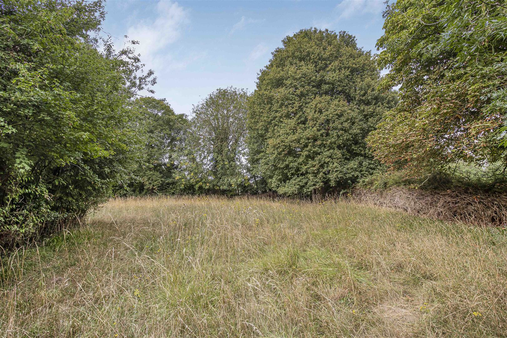 Steeplechase, Hundon, Sudbury, photo 15