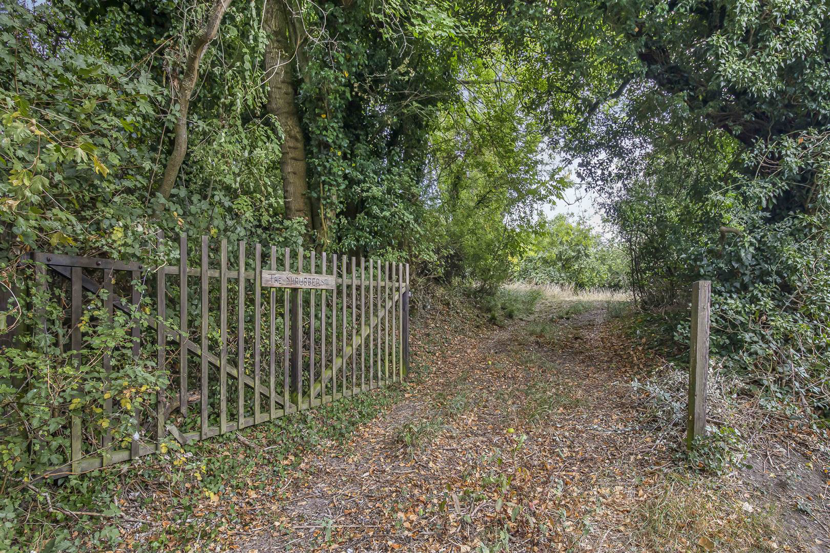 Steeplechase, Hundon, Sudbury, photo 13