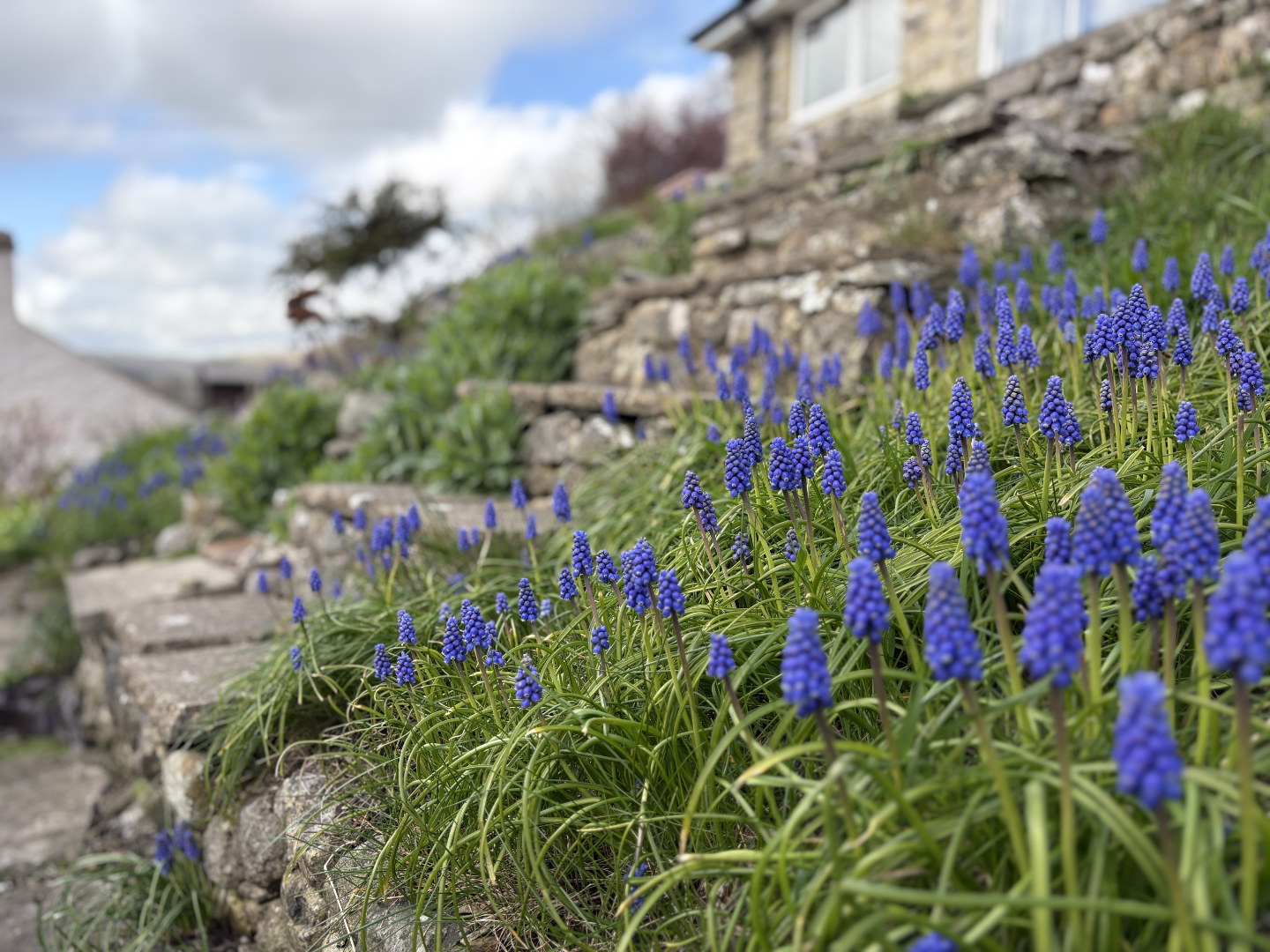 Albert Hill, Settle, photo 2