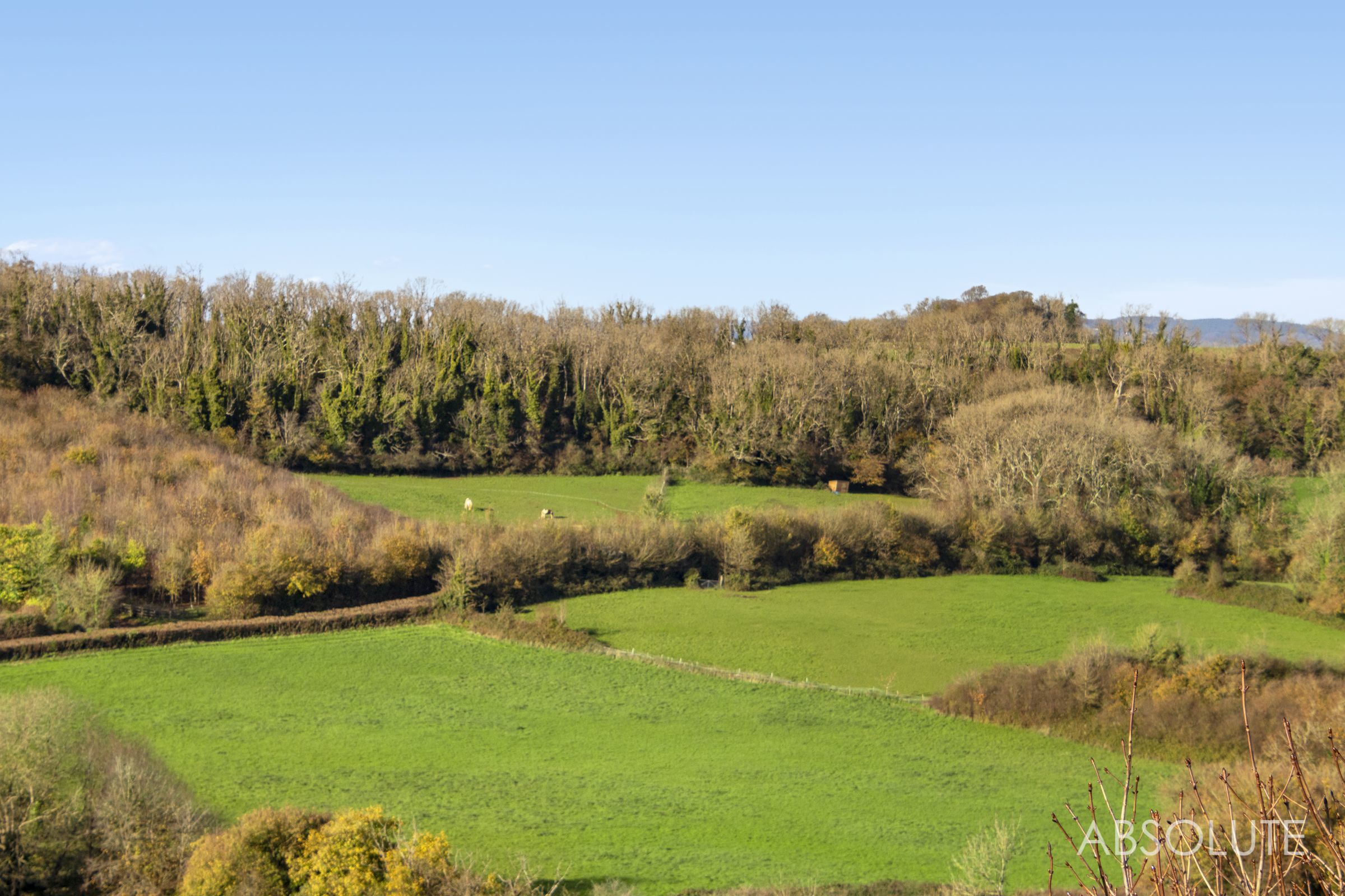 Whilborough Road, Kingskerswell, TQ12, photo 37