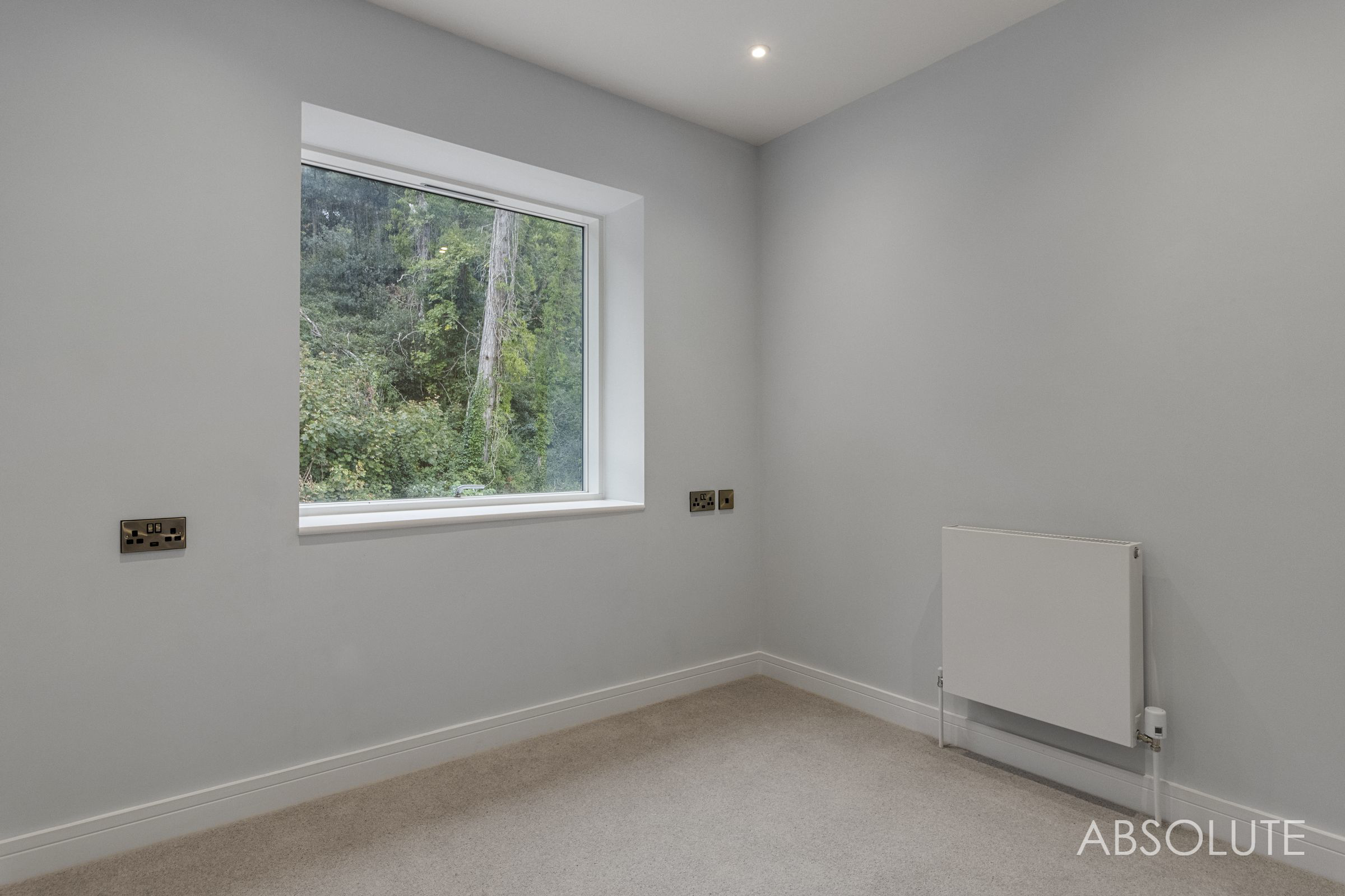 Ansteys Cove Road, Torquay, TQ1, photo 27