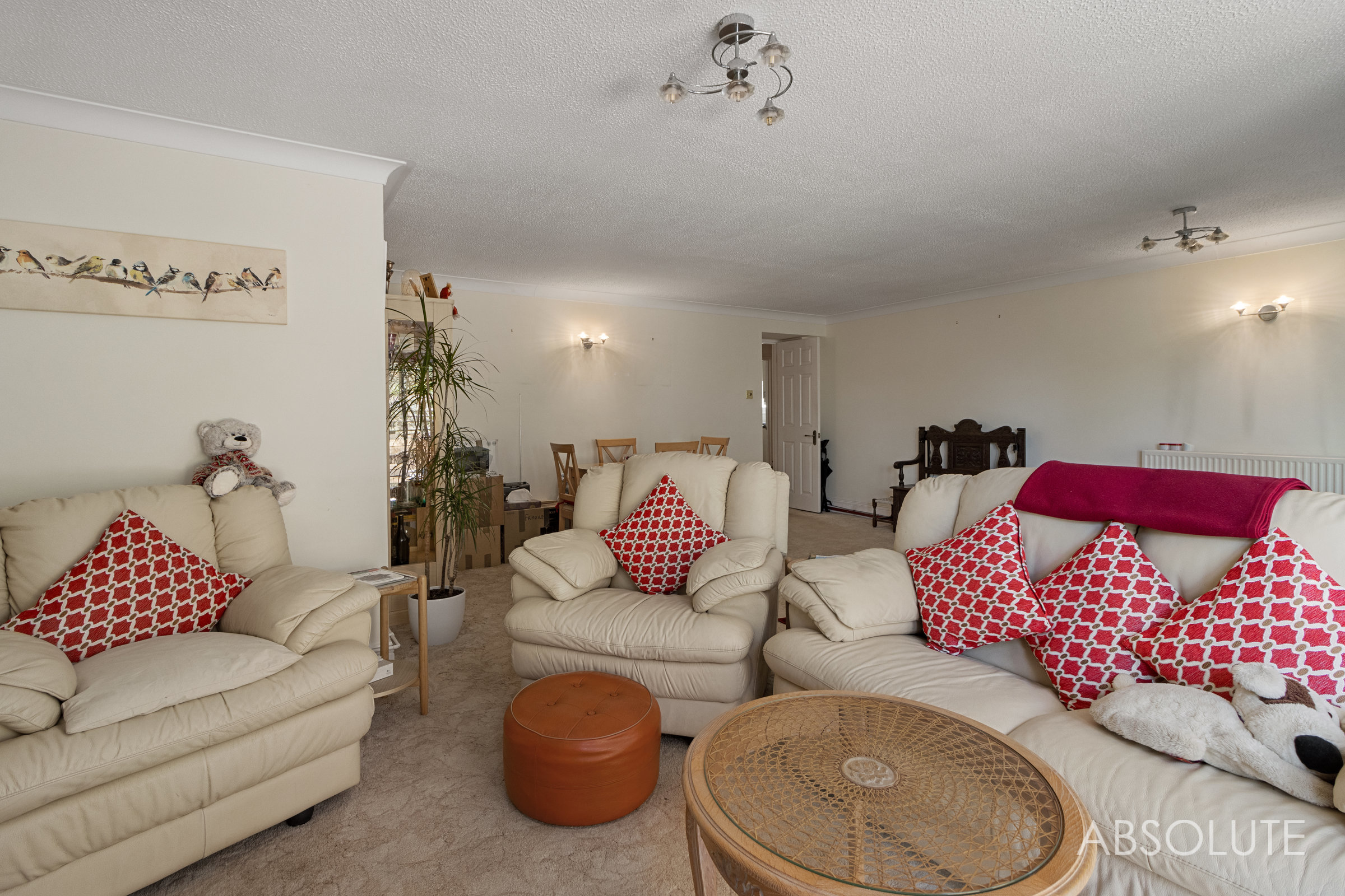 West Lane, Blagdon, TQ3, photo 11