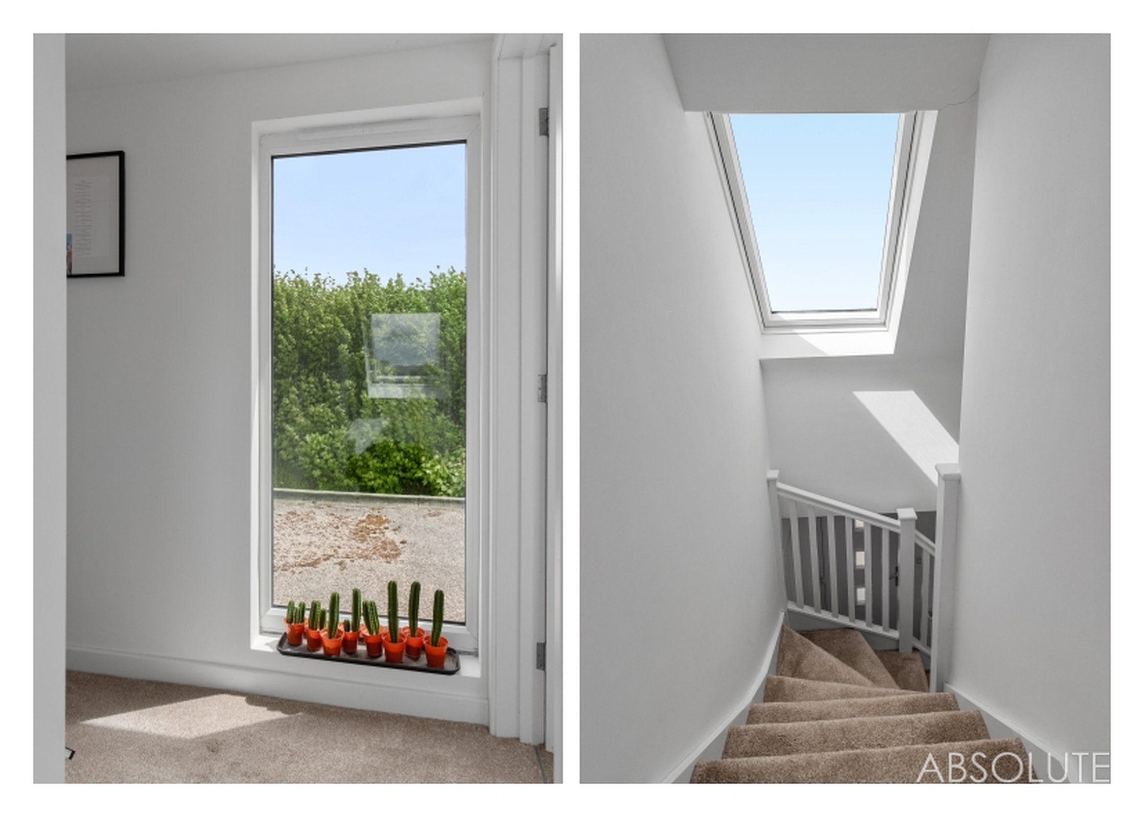 Westview Road, Marldon, TQ3, photo 19