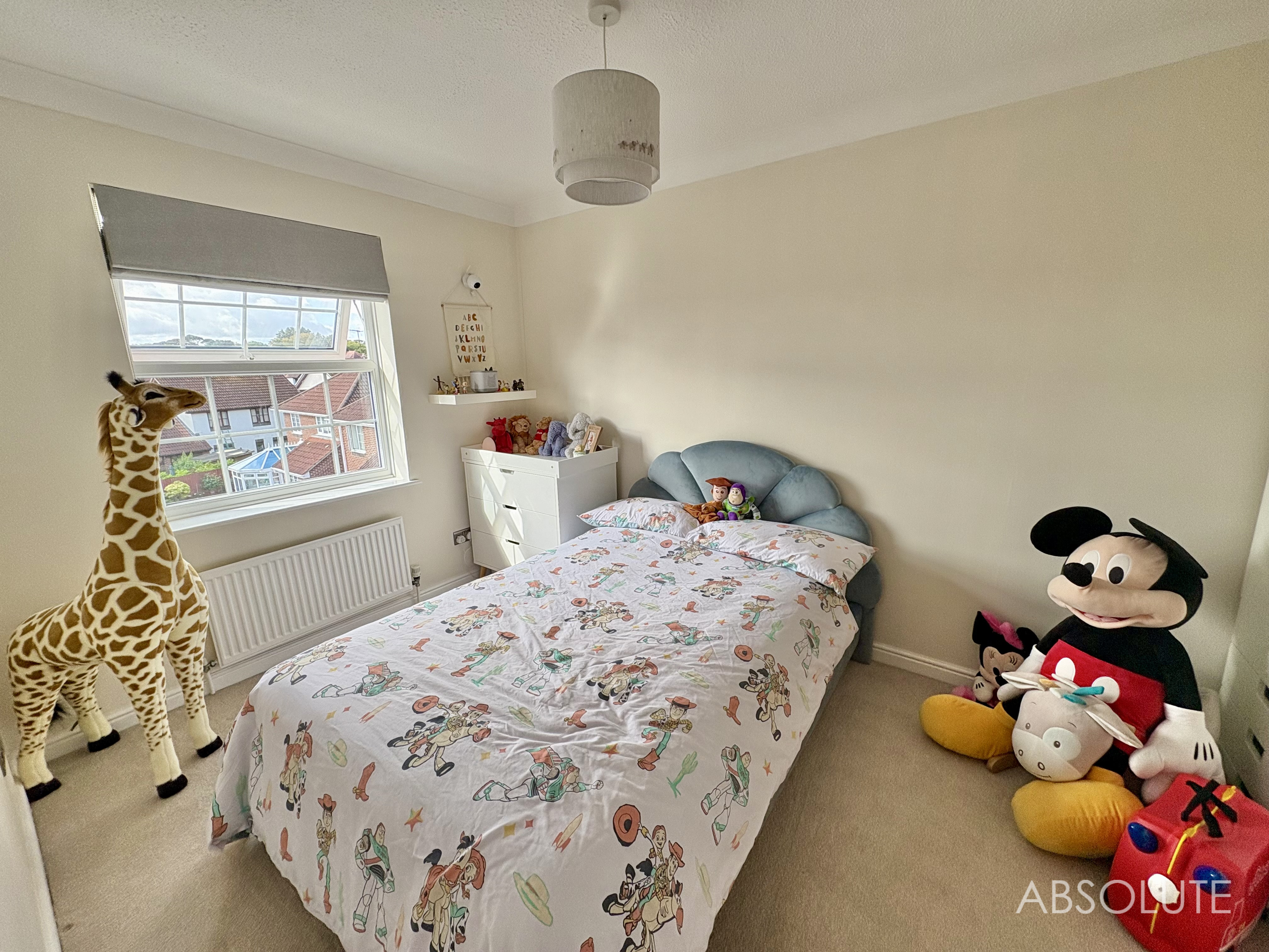 Durham Close, Paignton, TQ3, photo 15