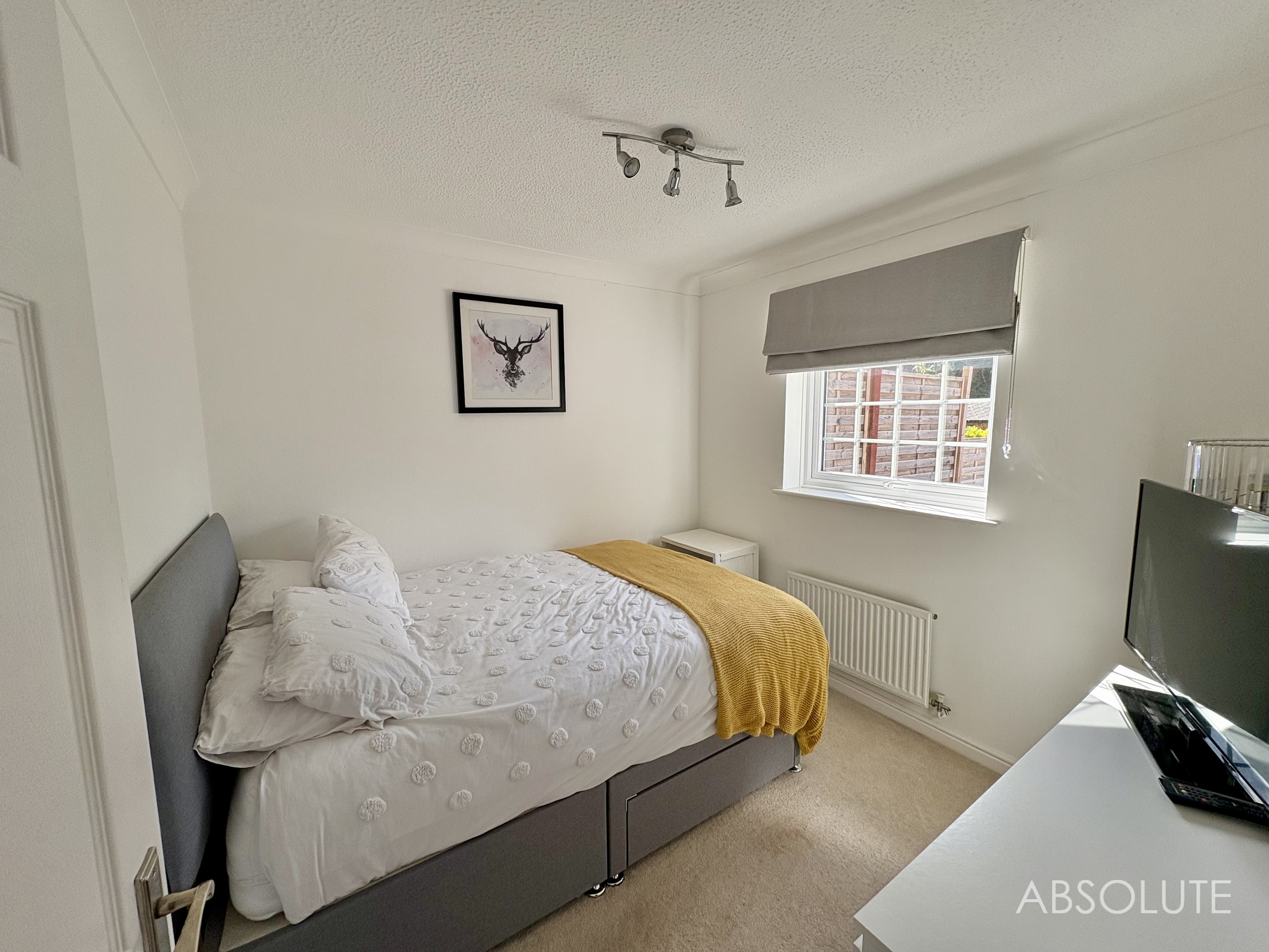 Durham Close, Paignton, TQ3, photo 9