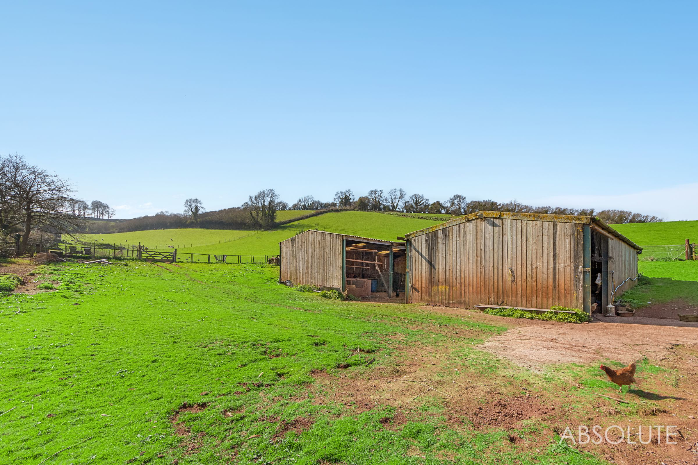 Whilborough, Newton Abbot, TQ12, photo 19