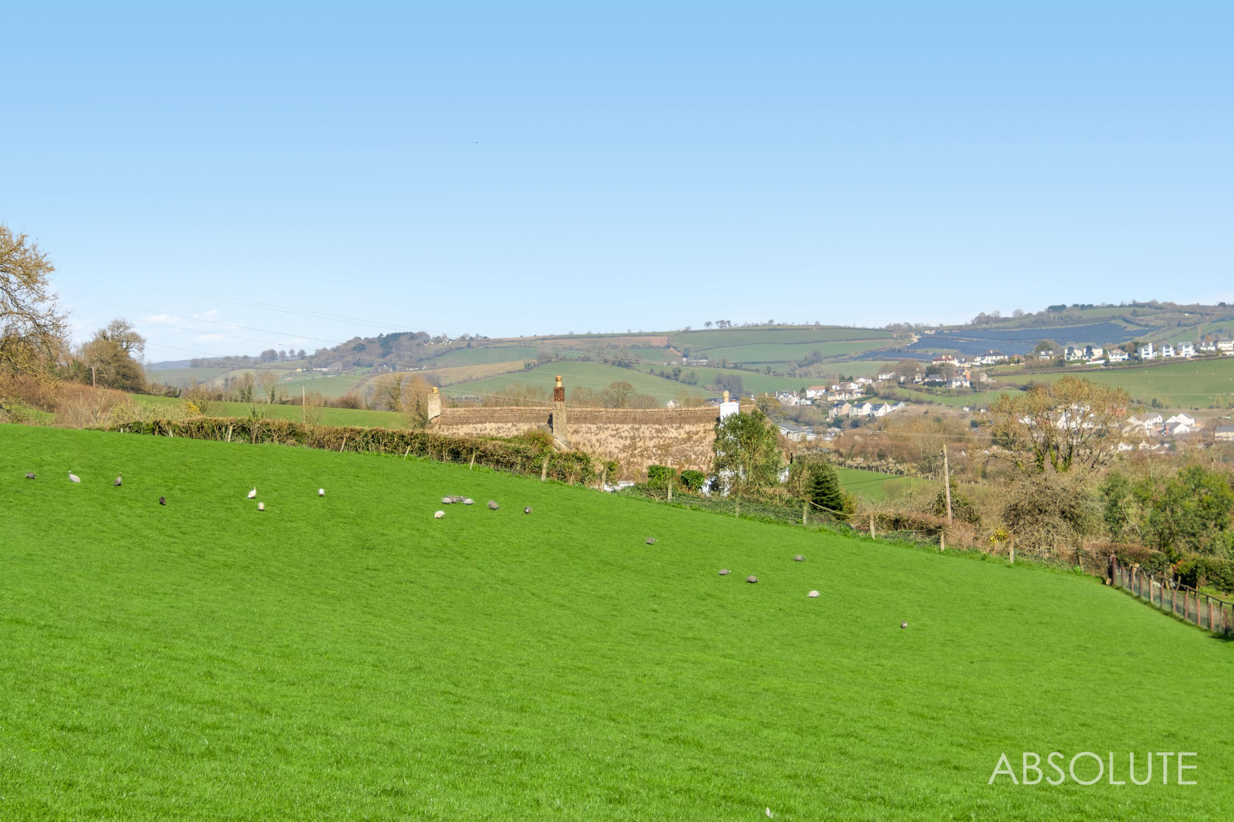 Whilborough, Newton Abbot, TQ12, photo 20