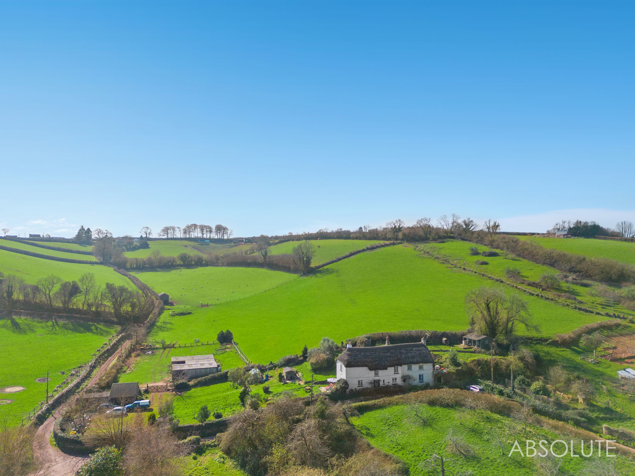 Whilborough, Newton Abbot, TQ12, photo 16
