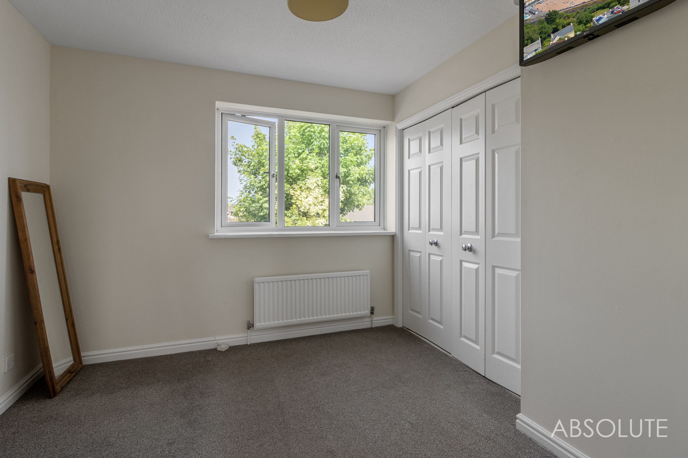 Steed Close, Paignton, TQ4, photo 18