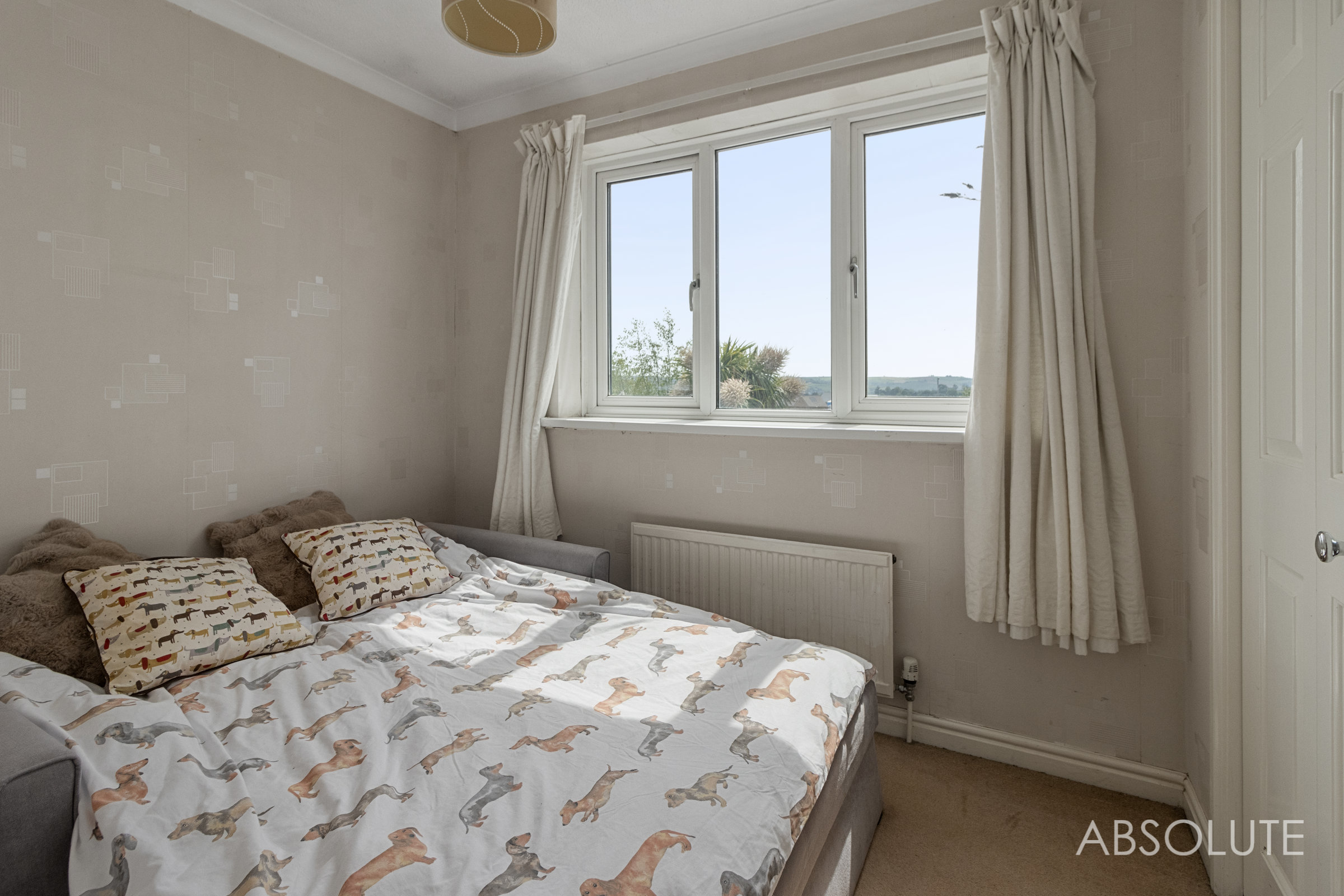 Steed Close, Paignton, TQ4, photo 20