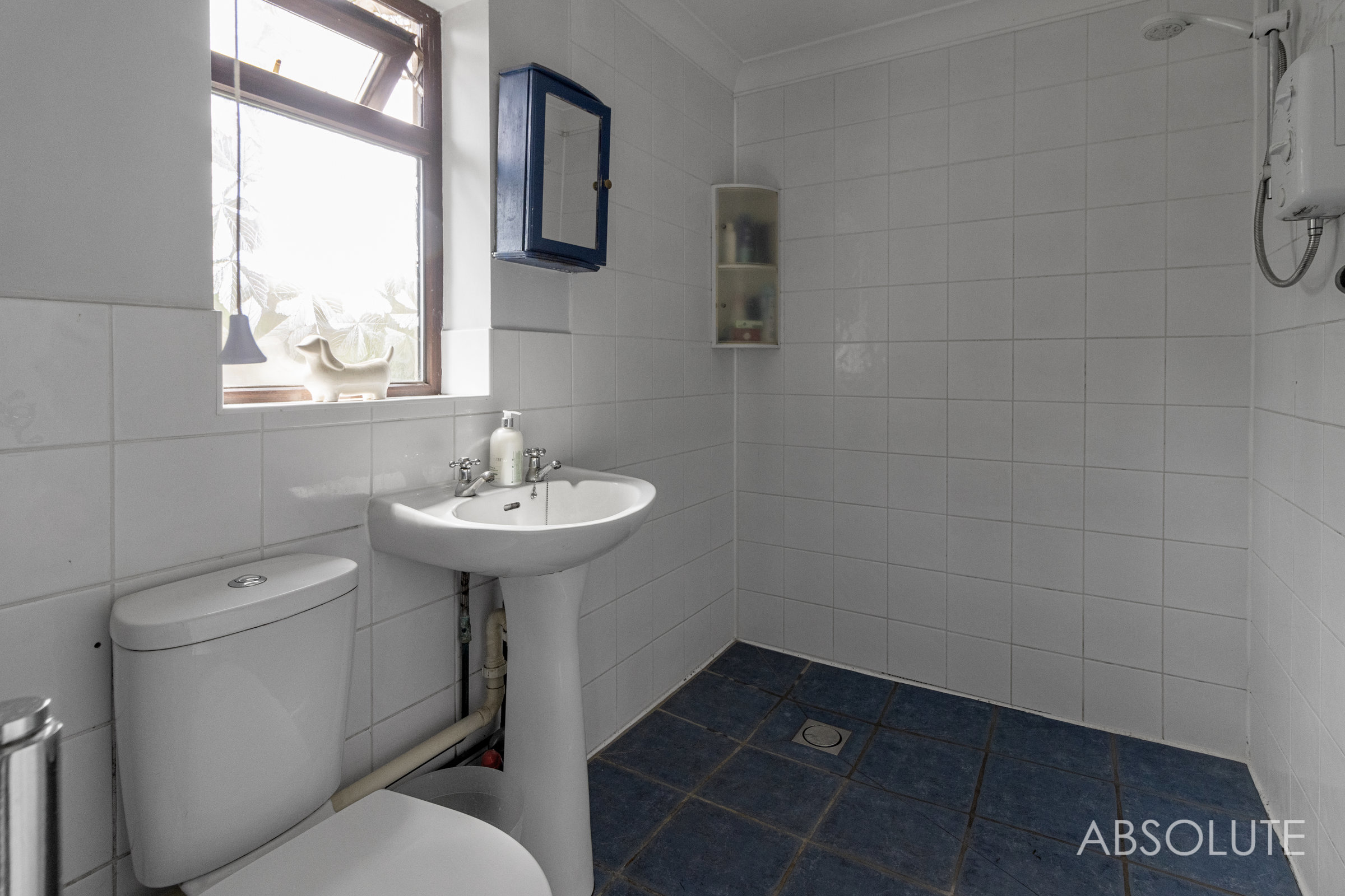 Steed Close, Paignton, TQ4, photo 22