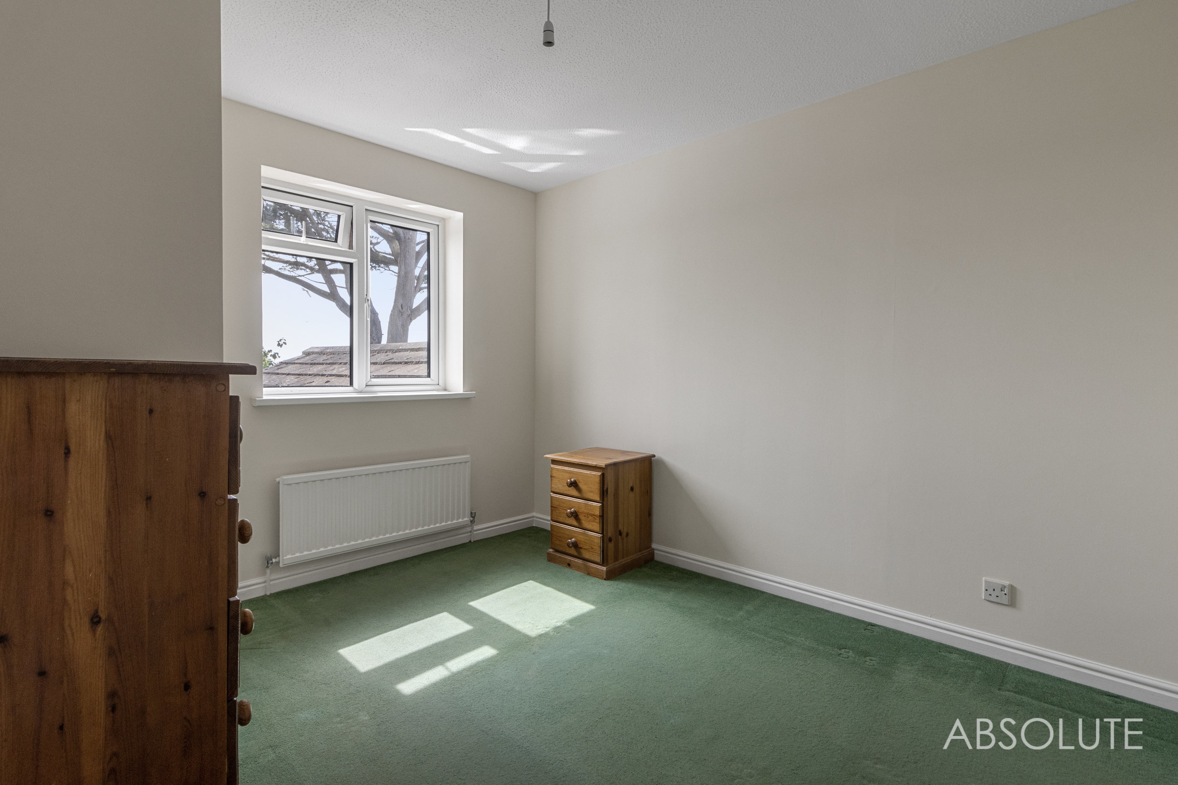Steed Close, Paignton, TQ4, photo 21