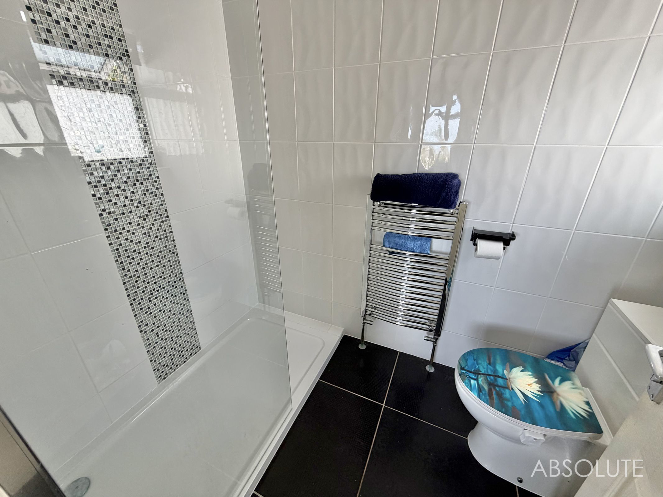 Broadley Drive, Torquay, TQ2, photo 13