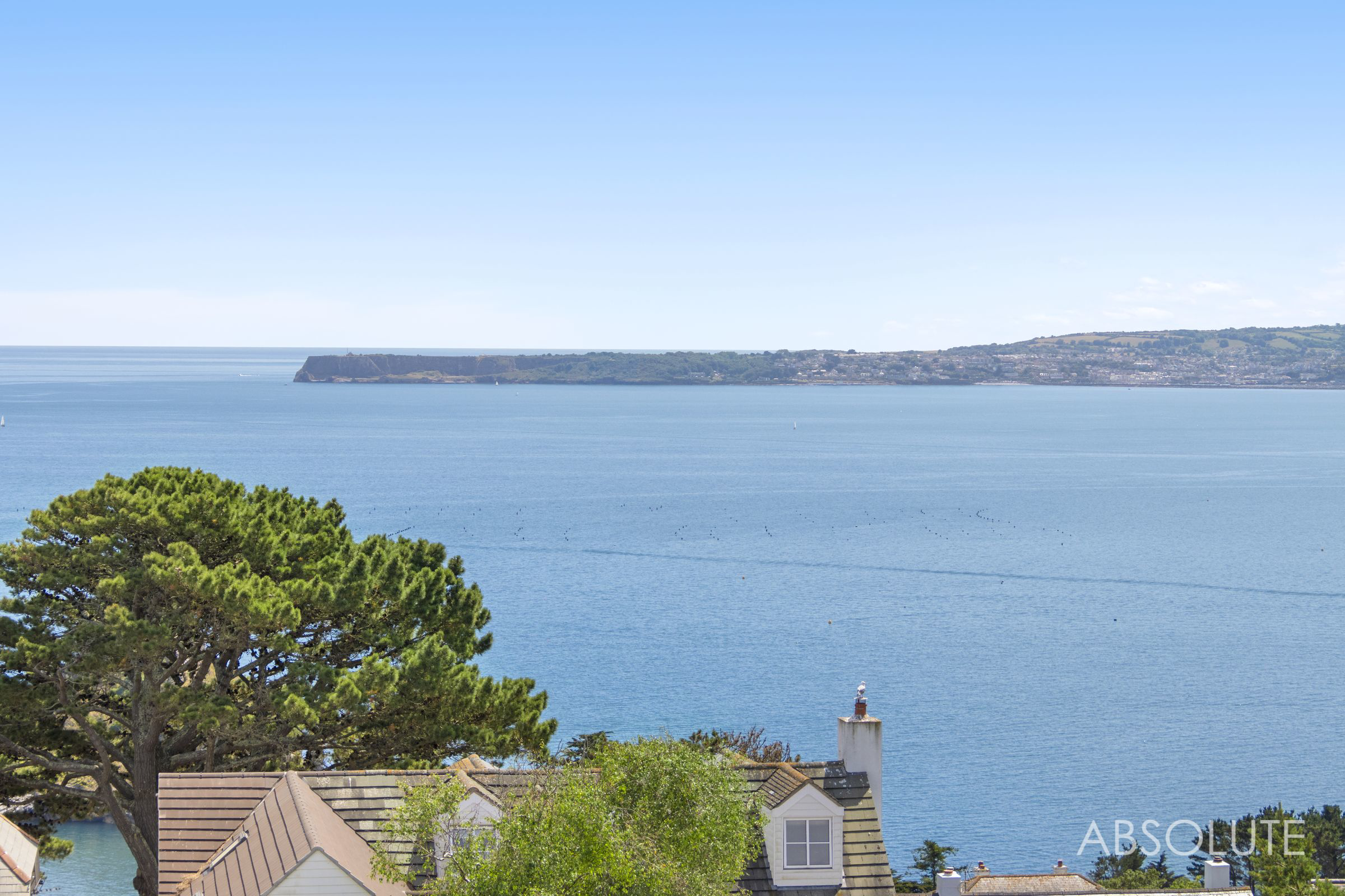 Whidborne Avenue, Torquay, TQ1, photo 36