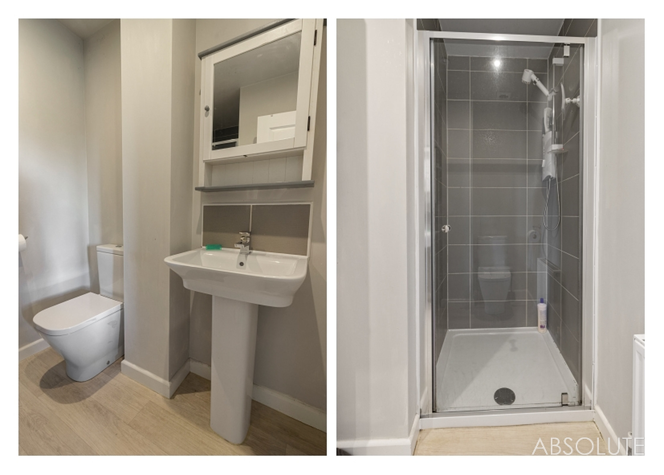 Wilkins Drive, Paignton, TQ4, photo 17