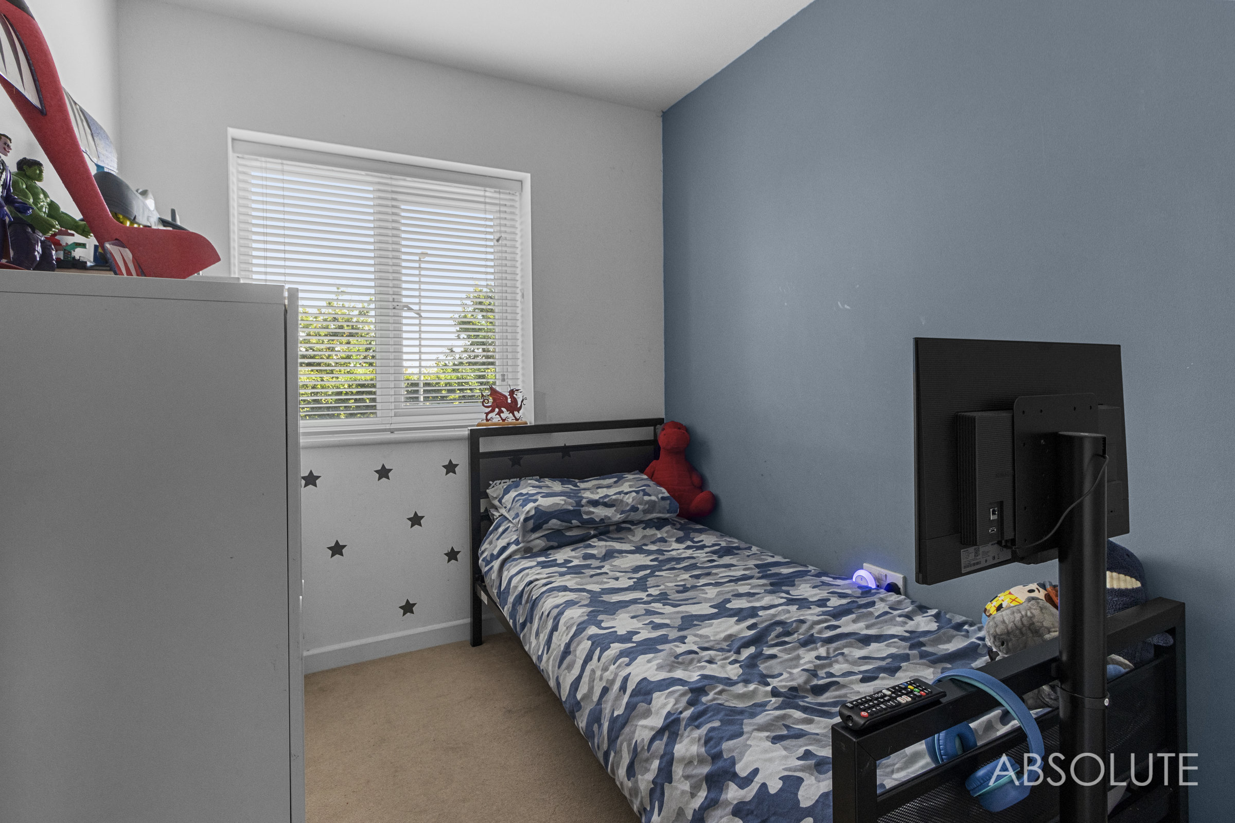 Wilkins Drive, Paignton, TQ4, photo 12