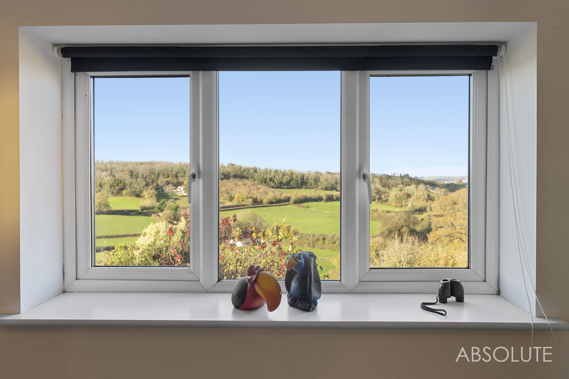 Whilborough Road, Kingskerswell, TQ12, photo 30