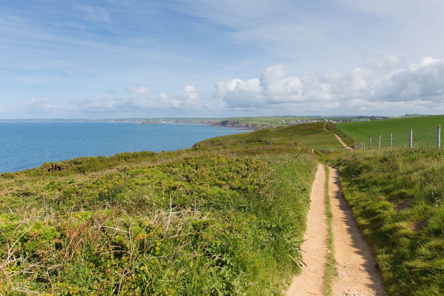 Lower Contour Road, Kingswear, South Hams, photo 20