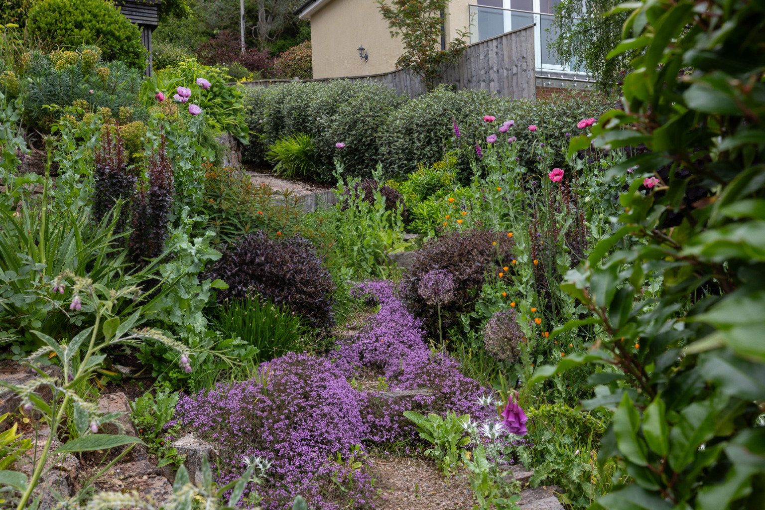 Steep Hill, Maidencombe, Devon, photo 16