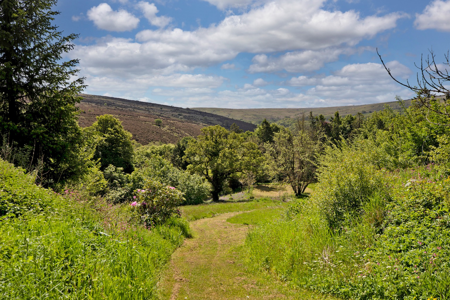 Photo 45
