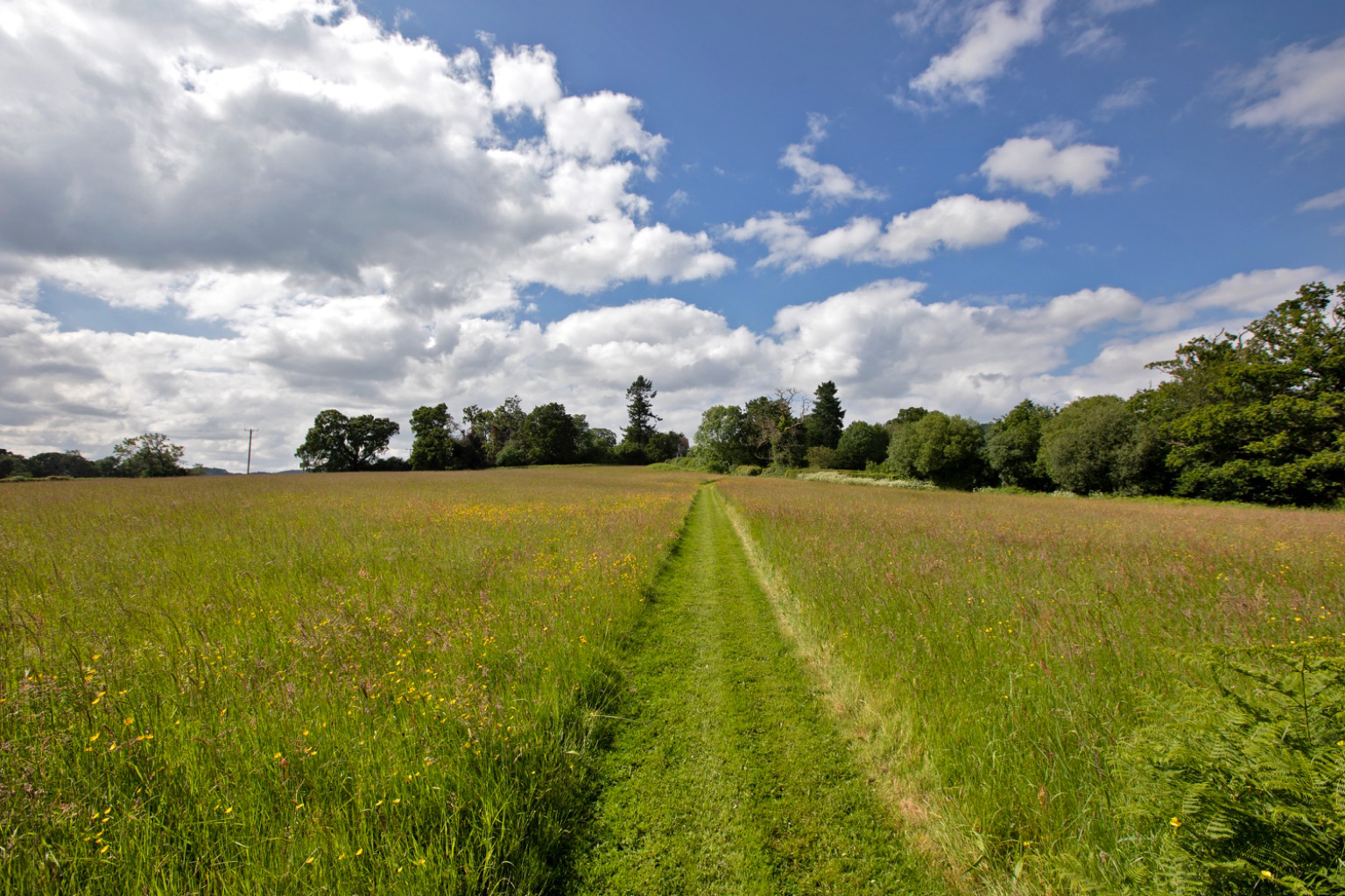 Between Lustleigh and Bovey Tracey, South Devon, photo 31