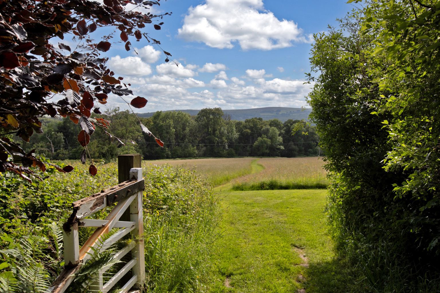 Between Lustleigh and Bovey Tracey, South Devon, photo 29