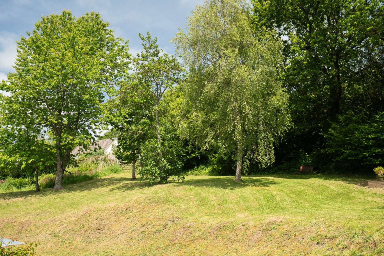 Swimbridge, North Devon EX32, photo 21