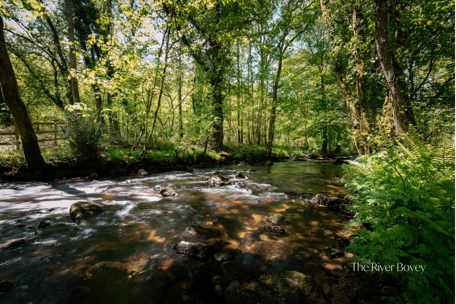 Between Bovey Tracey & Lustleigh, photo 3