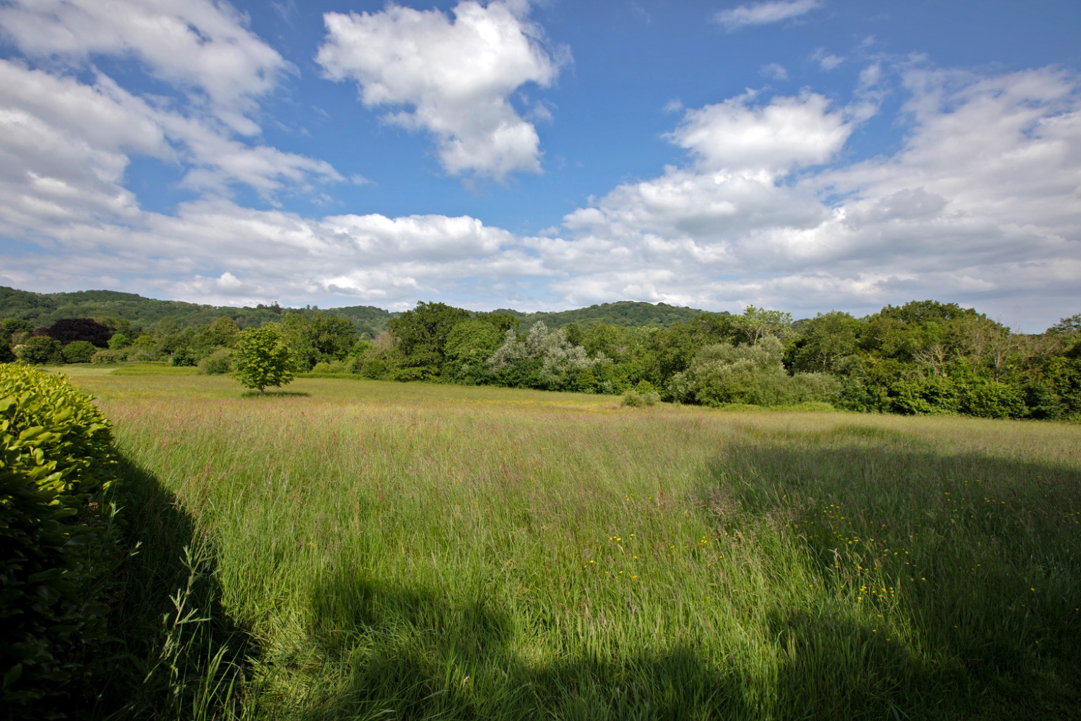 Between Lustleigh and Bovey Tracey, South Devon, photo 32