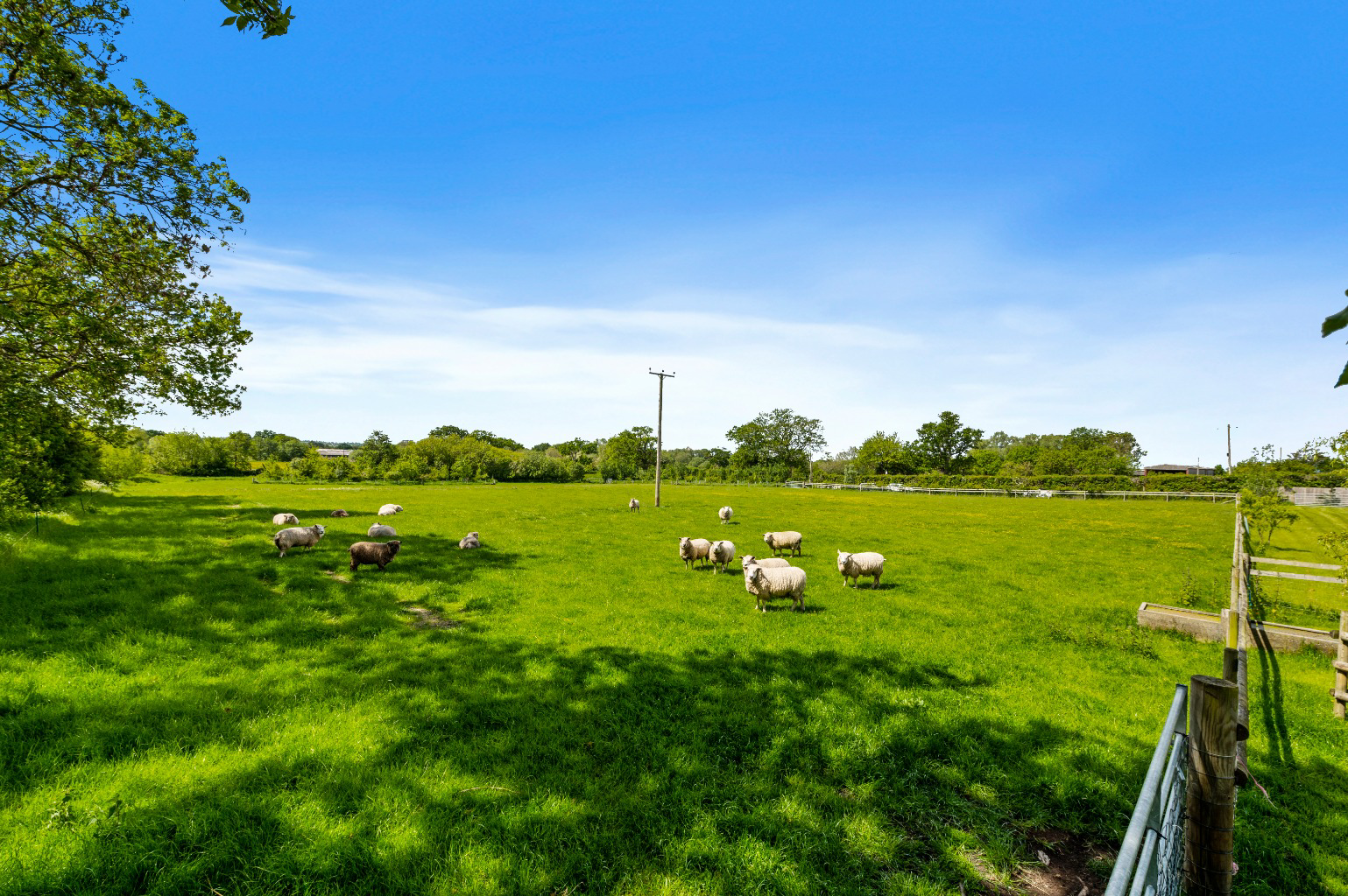 Shapwick Road, Westhay, Near Wedmore, photo 64