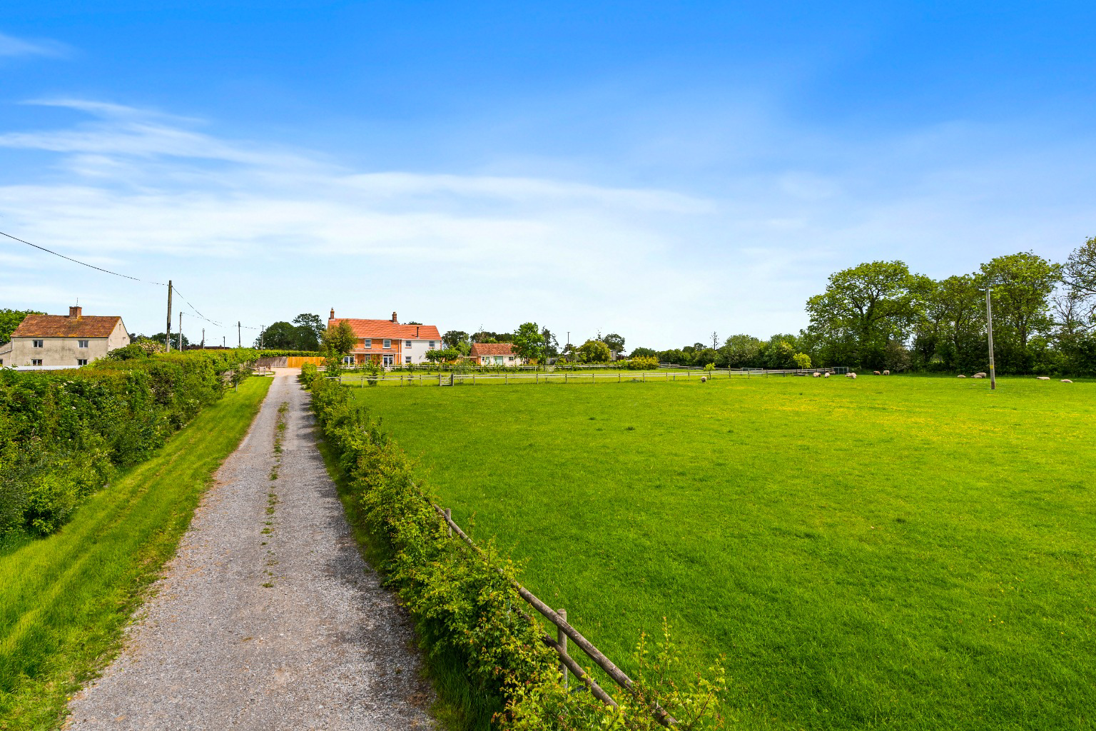 Shapwick Road, Westhay, Near Wedmore, photo 65