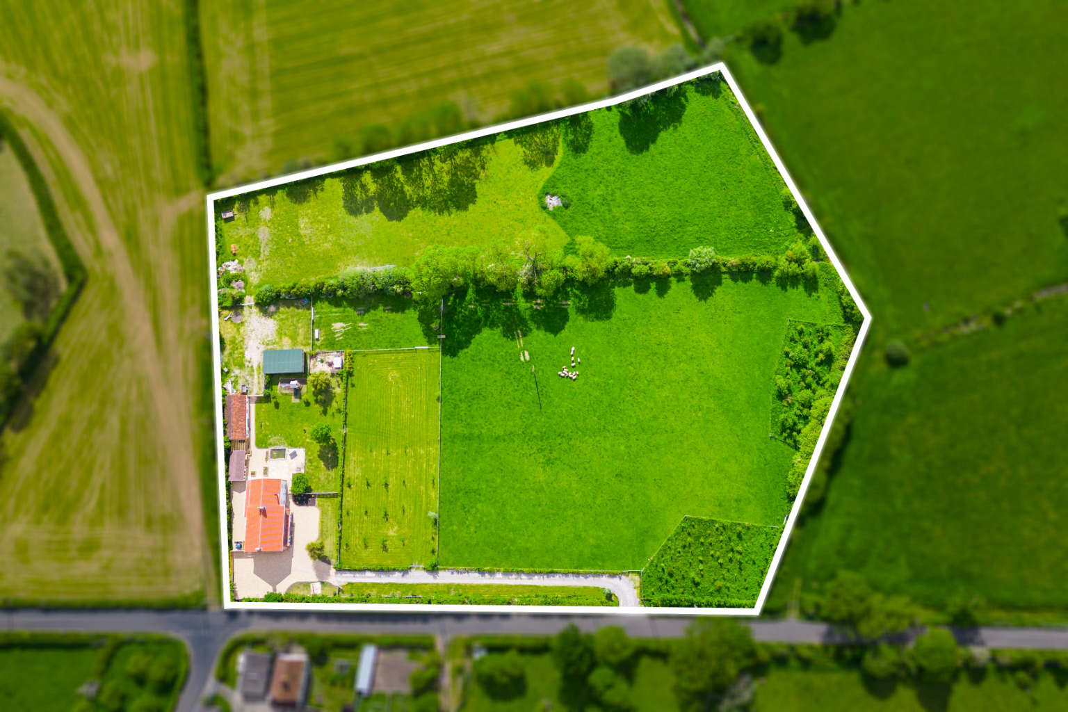 Shapwick Road, Westhay, Near Wedmore, photo 73