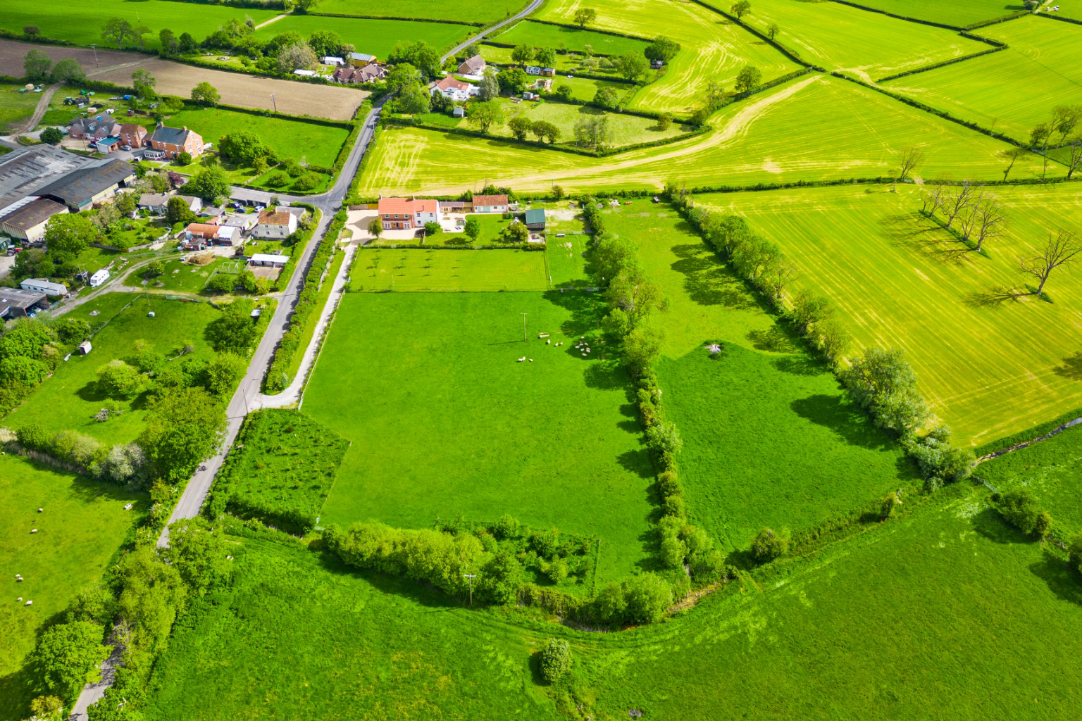 Shapwick Road, Westhay, Near Wedmore, photo 72