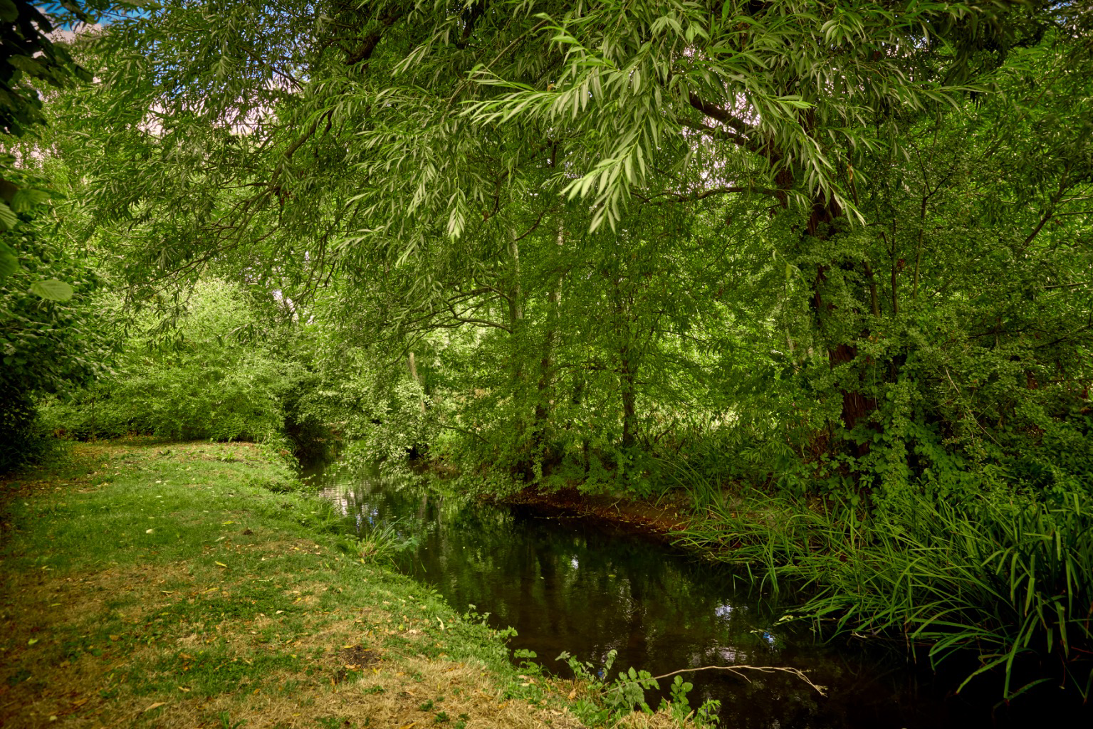 Photo 42