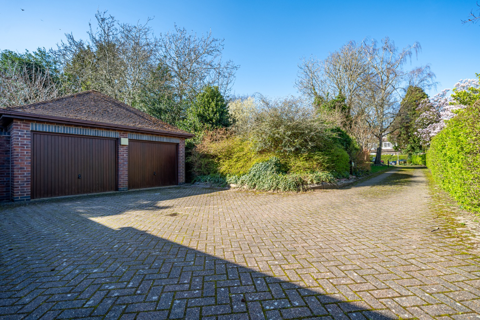 Media image 29