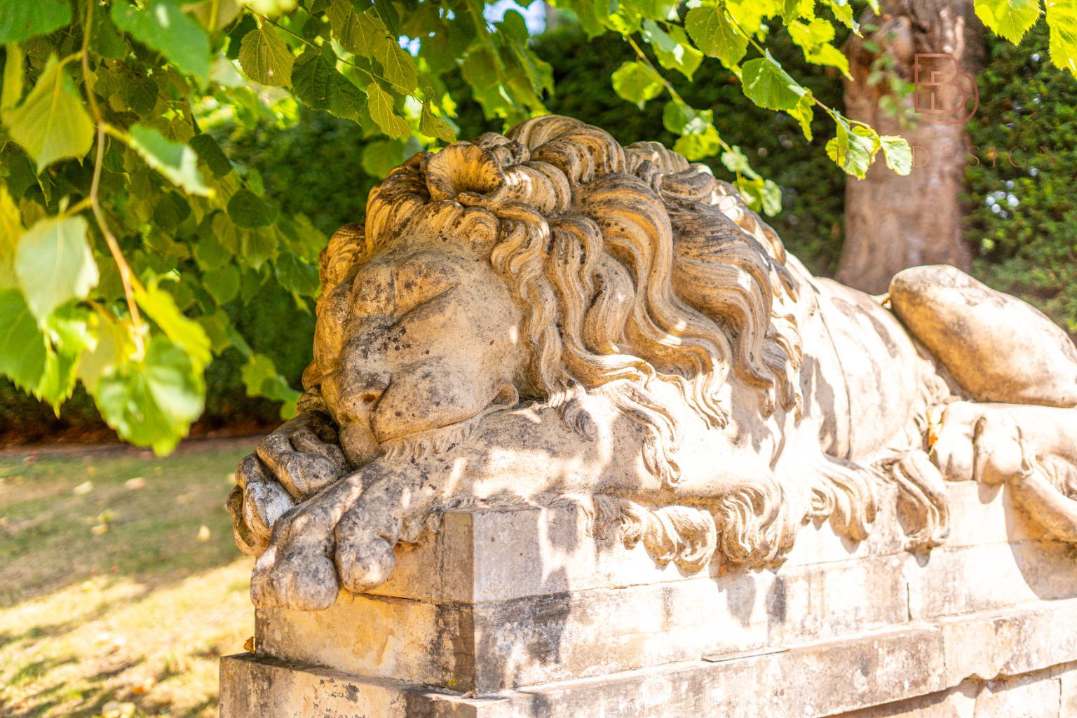 South Wing, Clifton Hall, photo 57