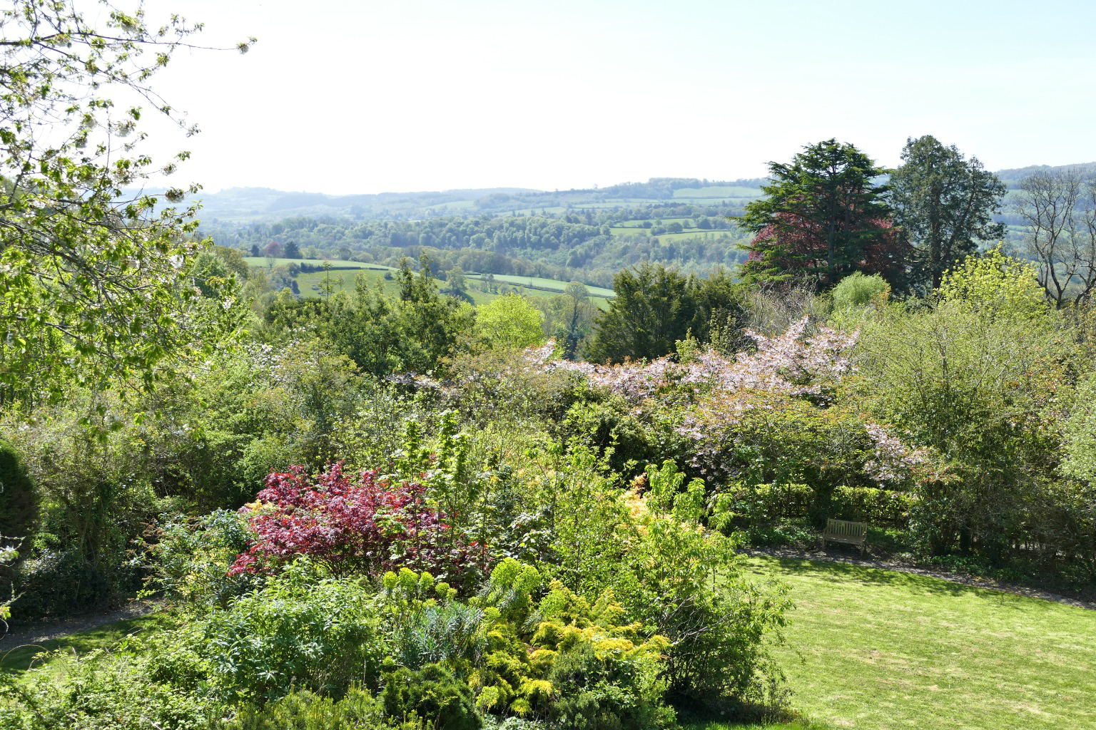 Hawkmoor Parke, Bovey Tracey, Devon, photo 28