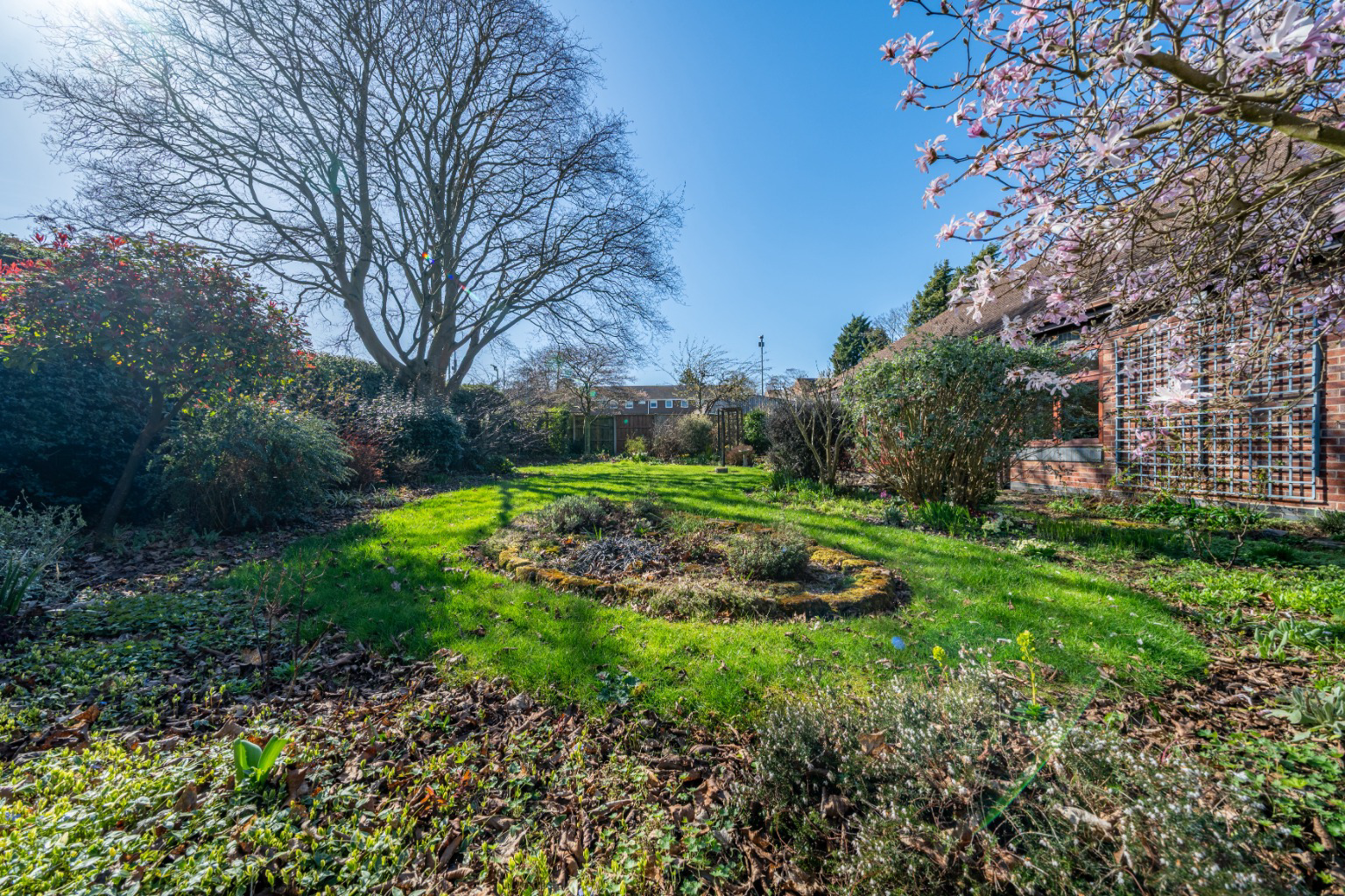 Media image 28