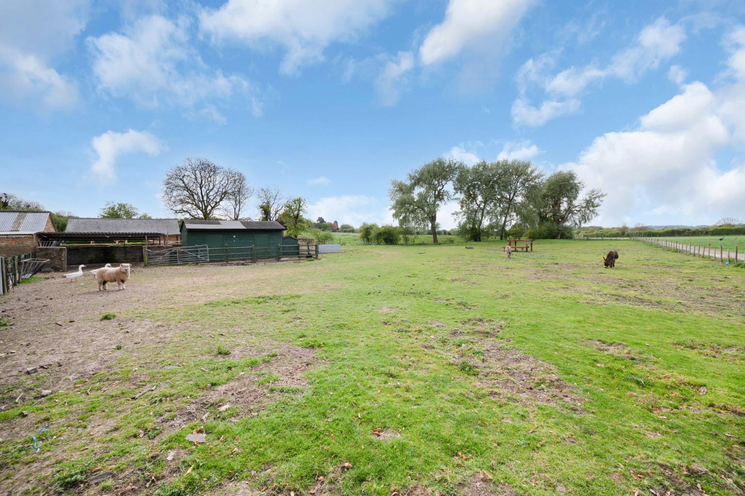 Springvale Farm, London Road, Bozeat, Northamptonshire, NN29, photo 41