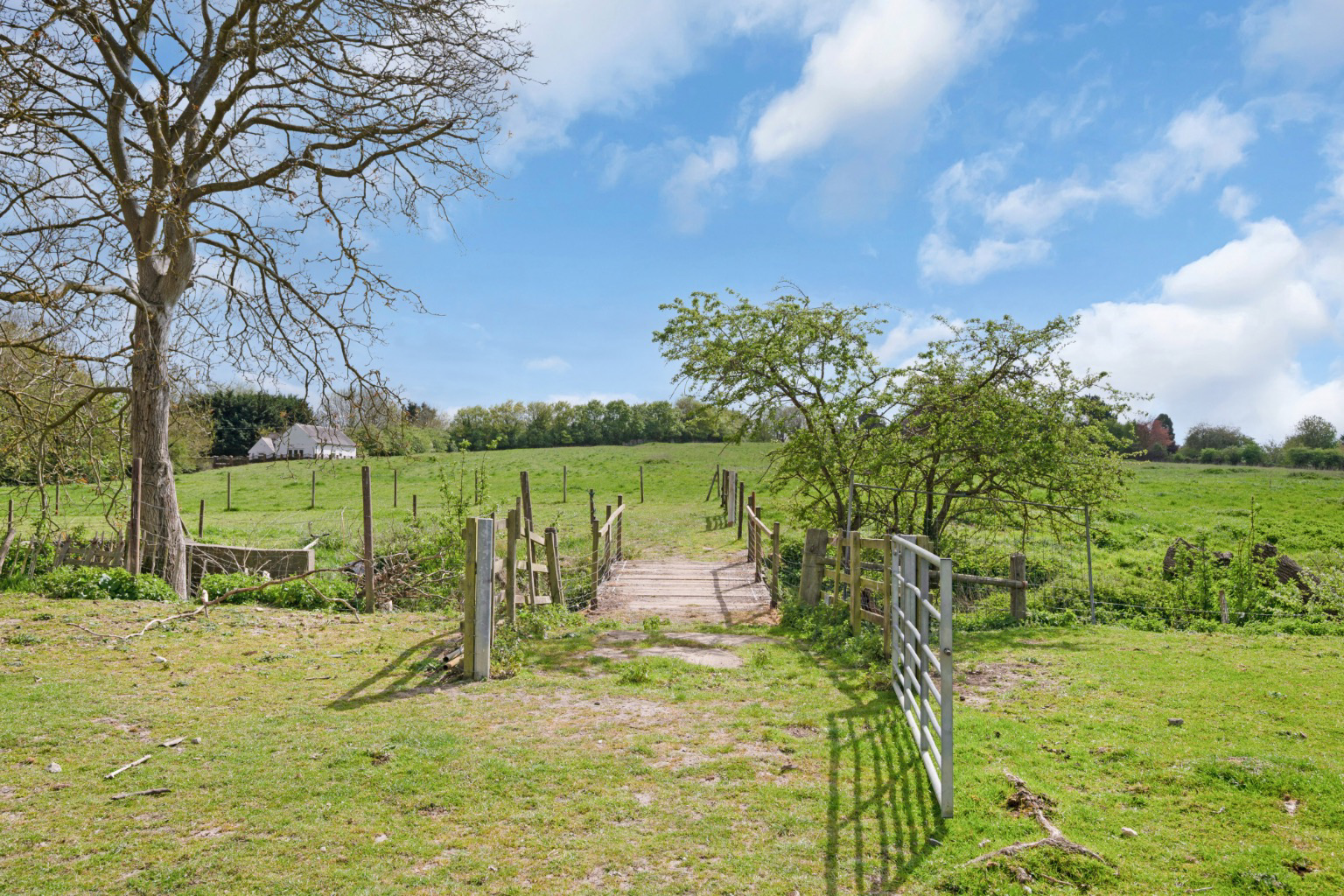 Springvale Farm, London Road, Bozeat, Northamptonshire, NN29, photo 42